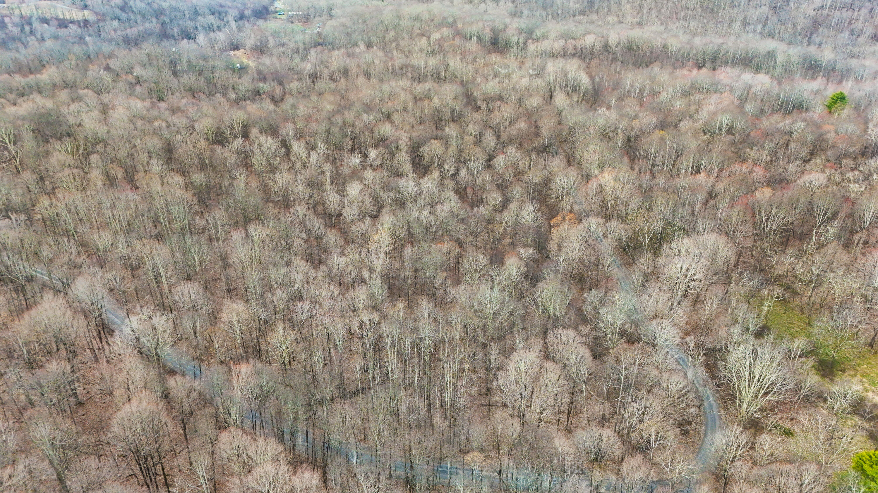 Lot 4 Molly Road, Crawley, West Virginia image 1
