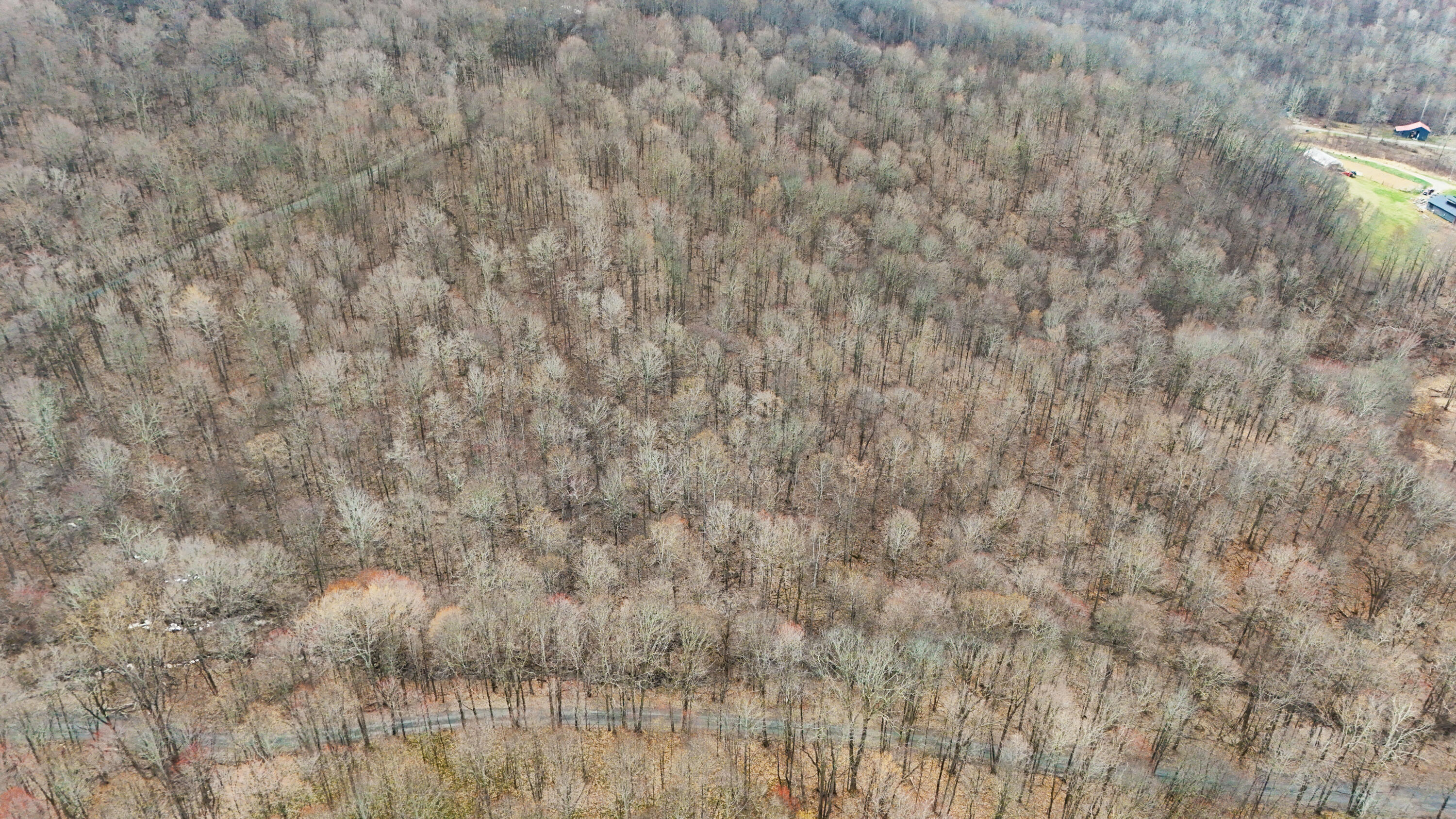 Lot 4 Molly Road, Crawley, West Virginia image 15