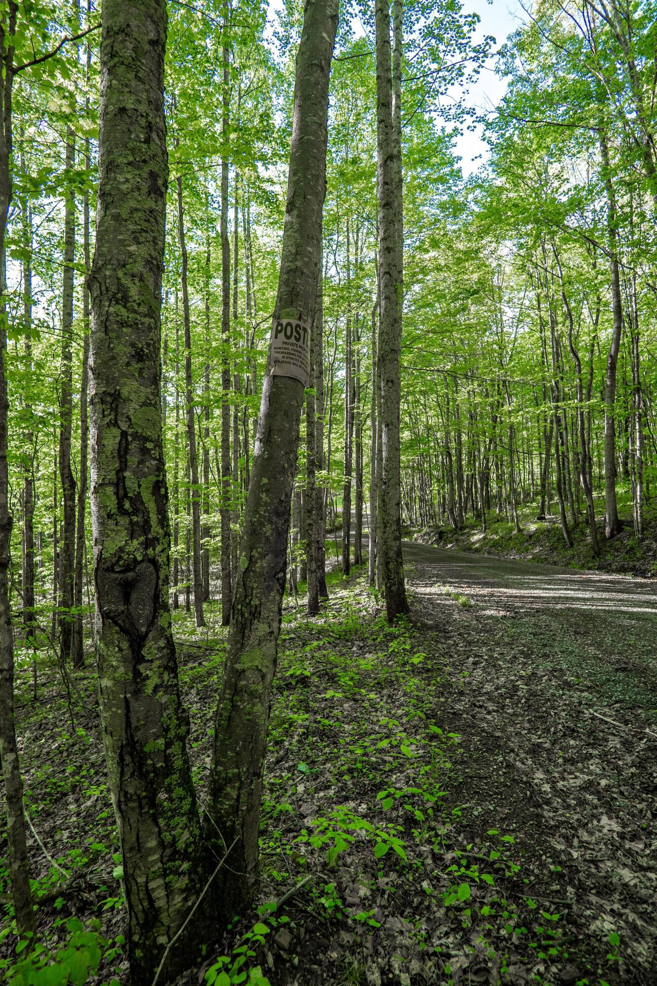 Molly Road, Crawley, West Virginia image 3