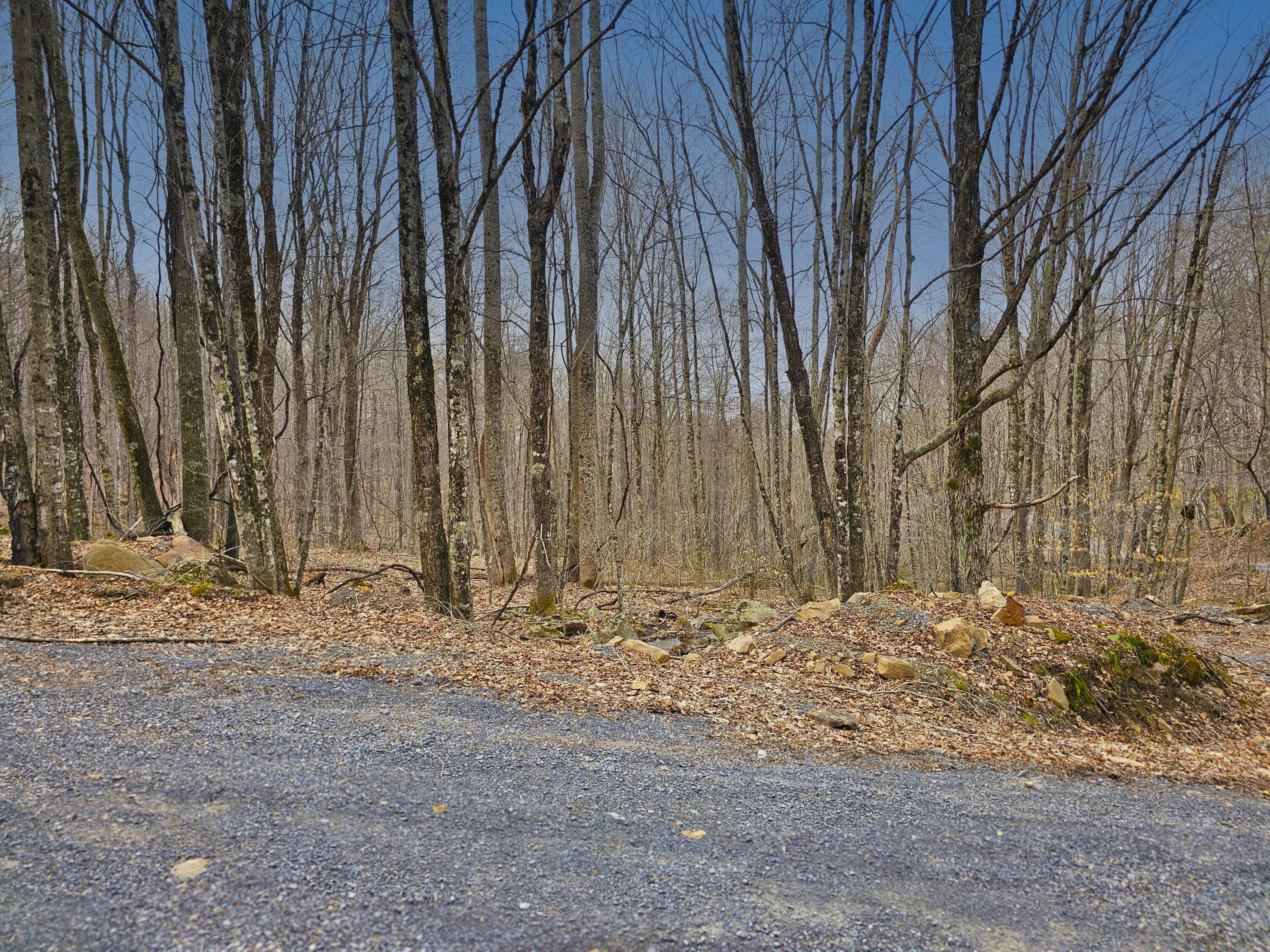 Lot 4 Molly Road, Crawley, West Virginia image 18