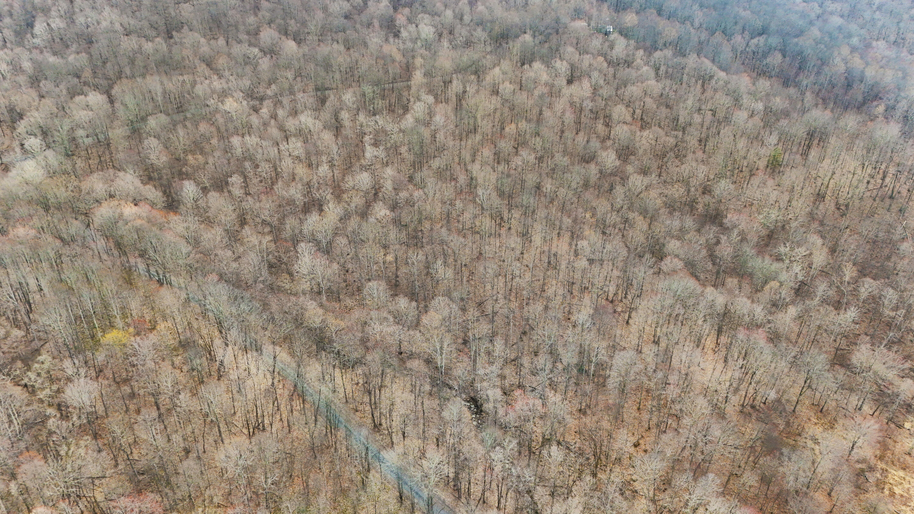 Lot 4 Molly Road, Crawley, West Virginia image 14