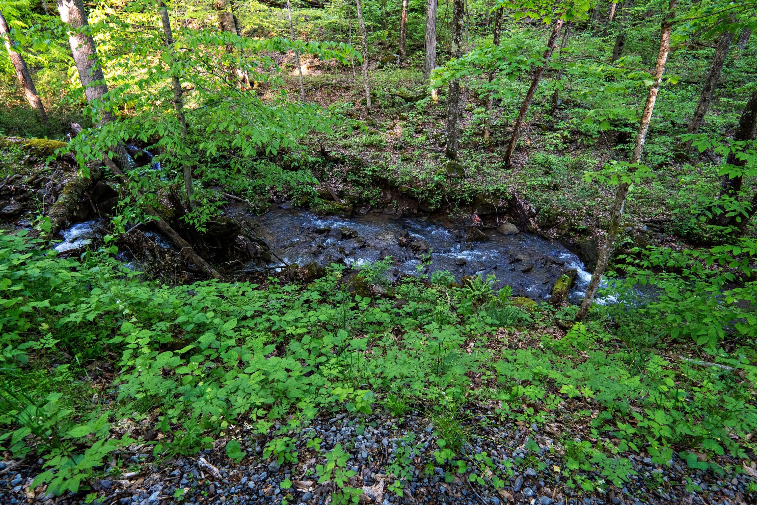 Molly Road, Crawley, West Virginia image 5