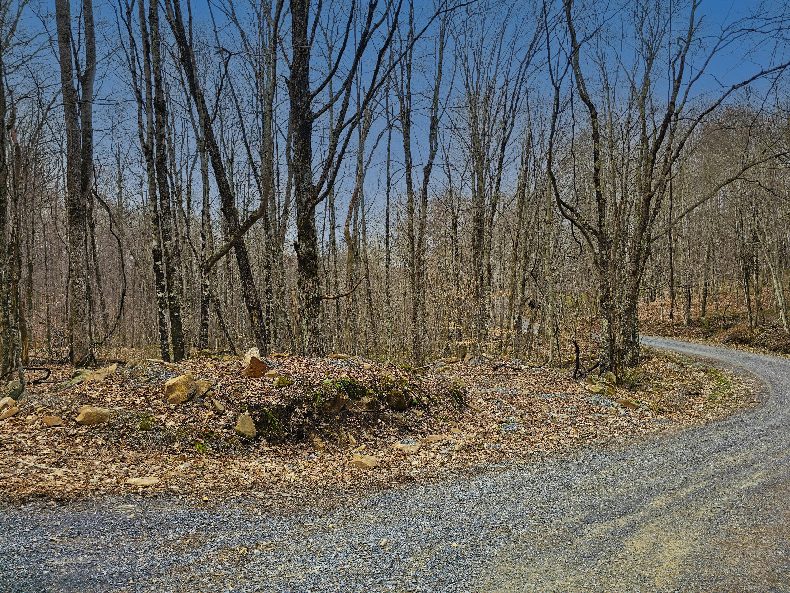 Lot 4 Molly Road, Crawley, West Virginia image 4