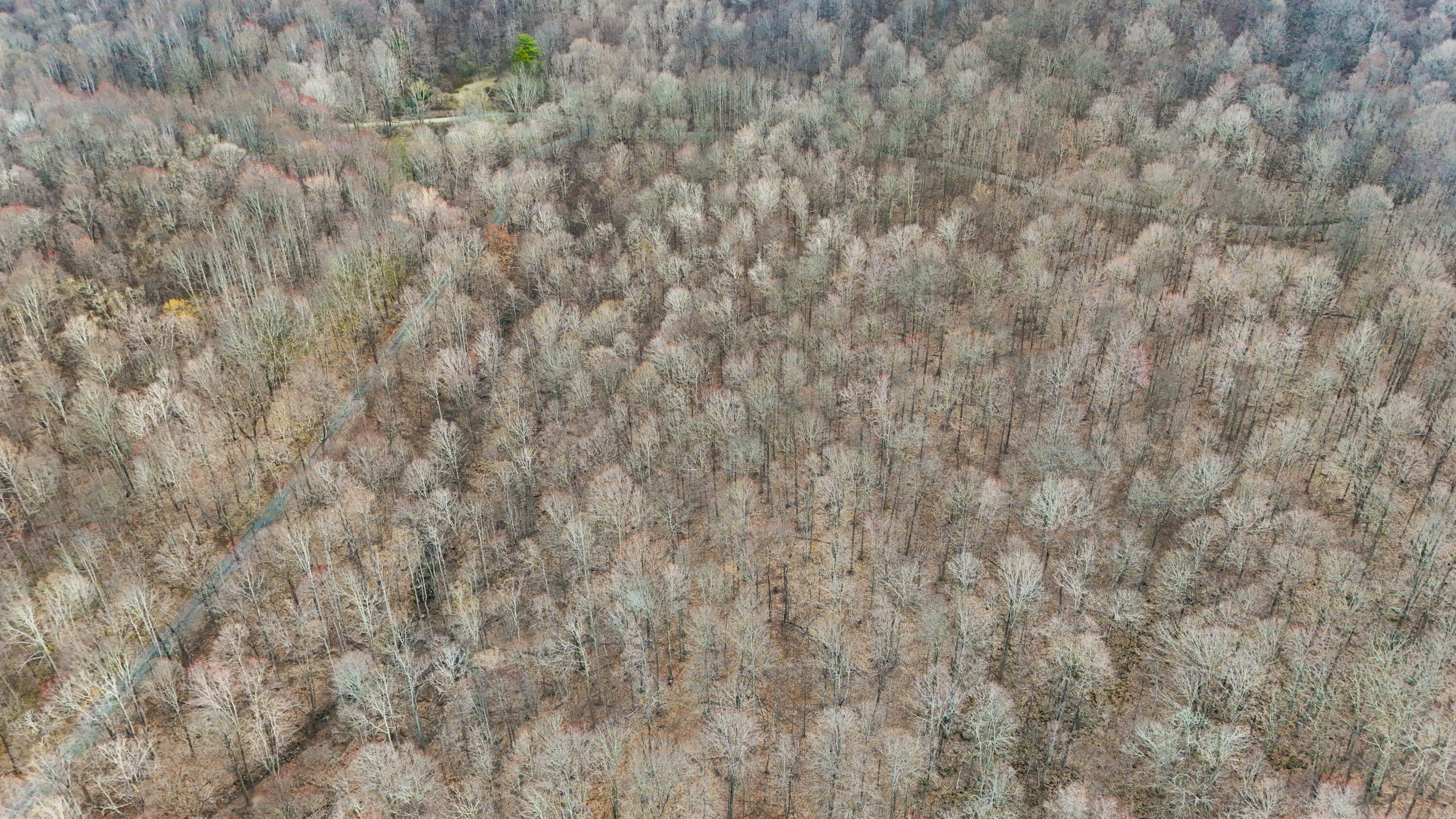 Lot 4 Molly Road, Crawley, West Virginia image 12