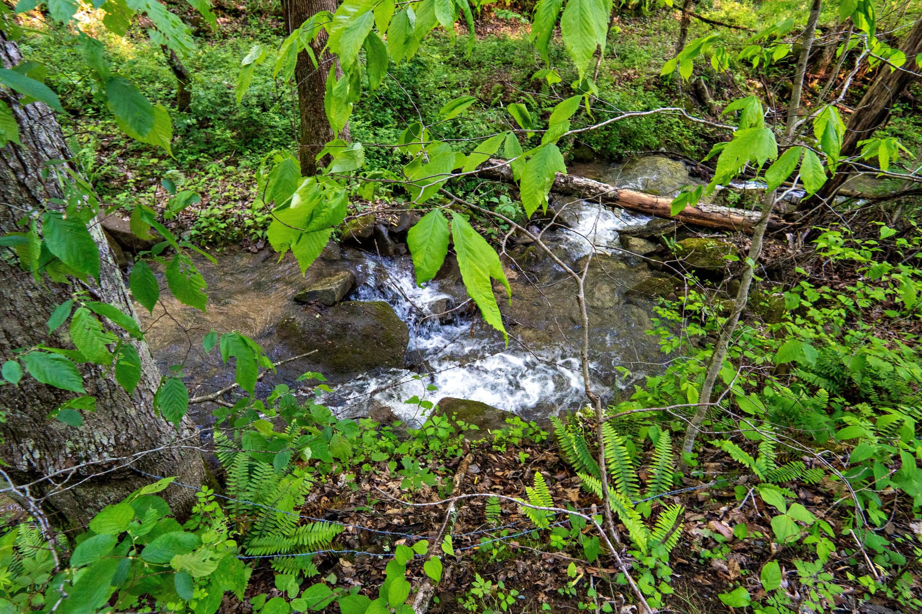 Molly Road, Crawley, West Virginia image 4