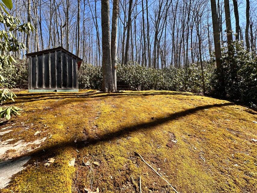 628 W Campsite Rd, Mount Nebo, West Virginia image 17