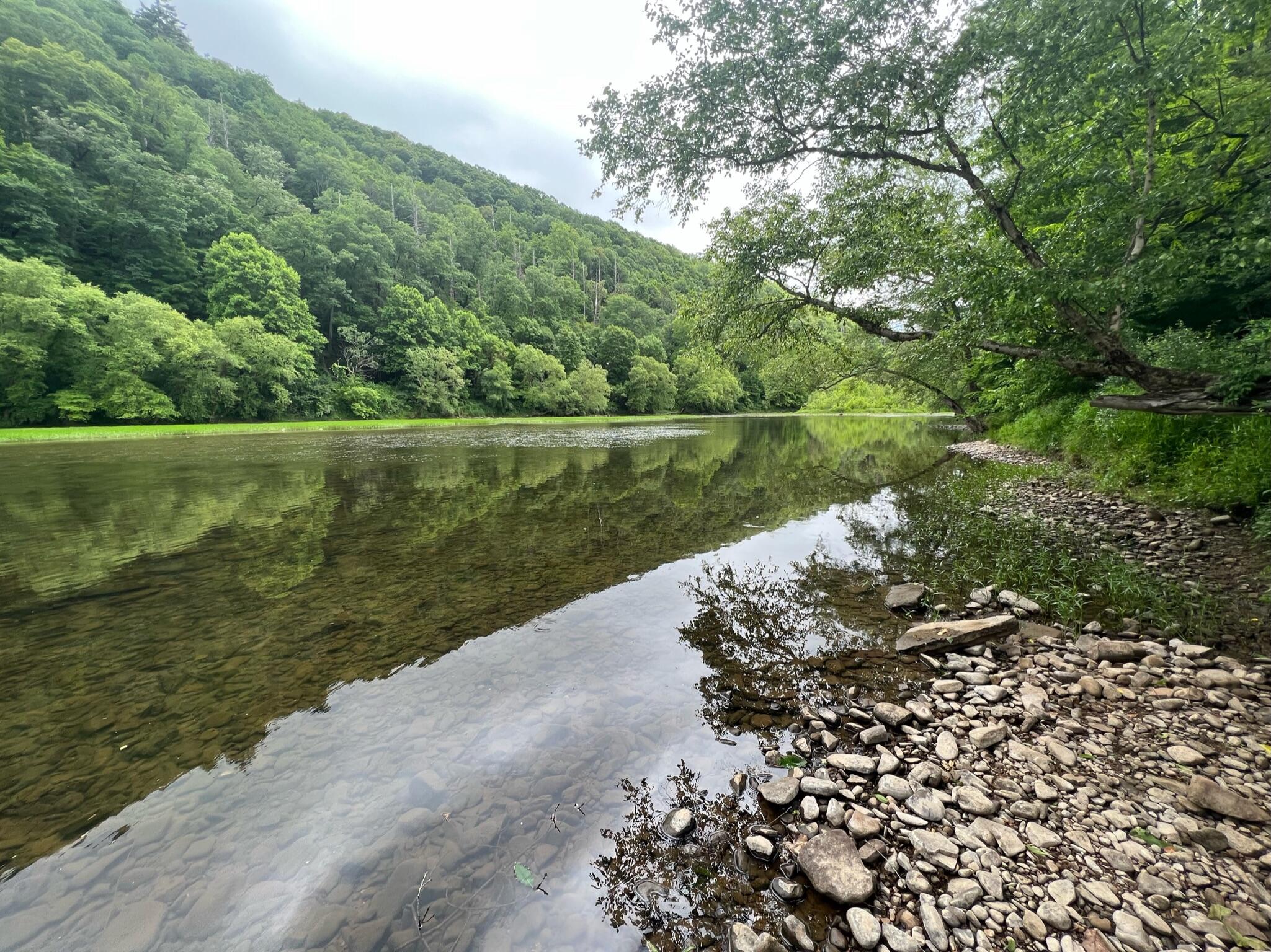 Lot 30 Duncans Landing #30, Buckeye, West Virginia image 4