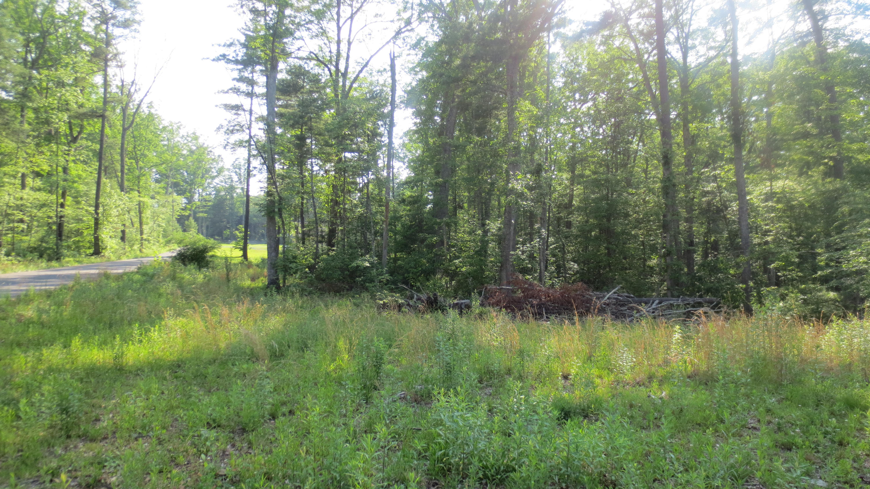 Lot 22 Woodhaven Subdivision #22, Lewisburg, West Virginia image 1