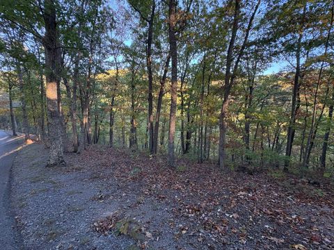 Homes For Sale - Lot 41 Wildwood Ridge<br/> Caldwell, WV 24925