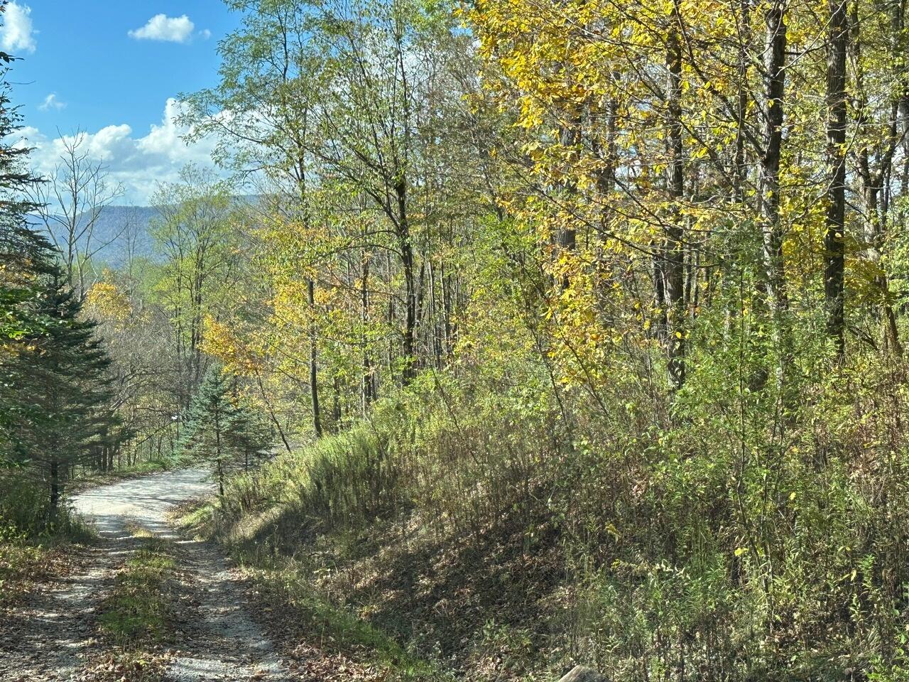 Lot 5 Hawthorne Valley Rd #5, Snowshoe, West Virginia image 4