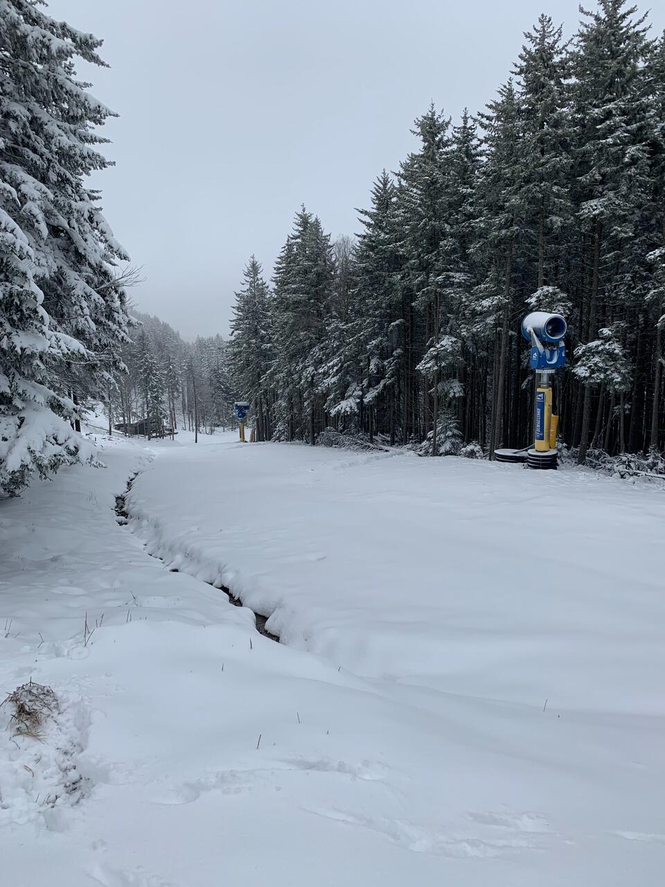 3 Loggers Run, Snowshoe, Alaska image 35
