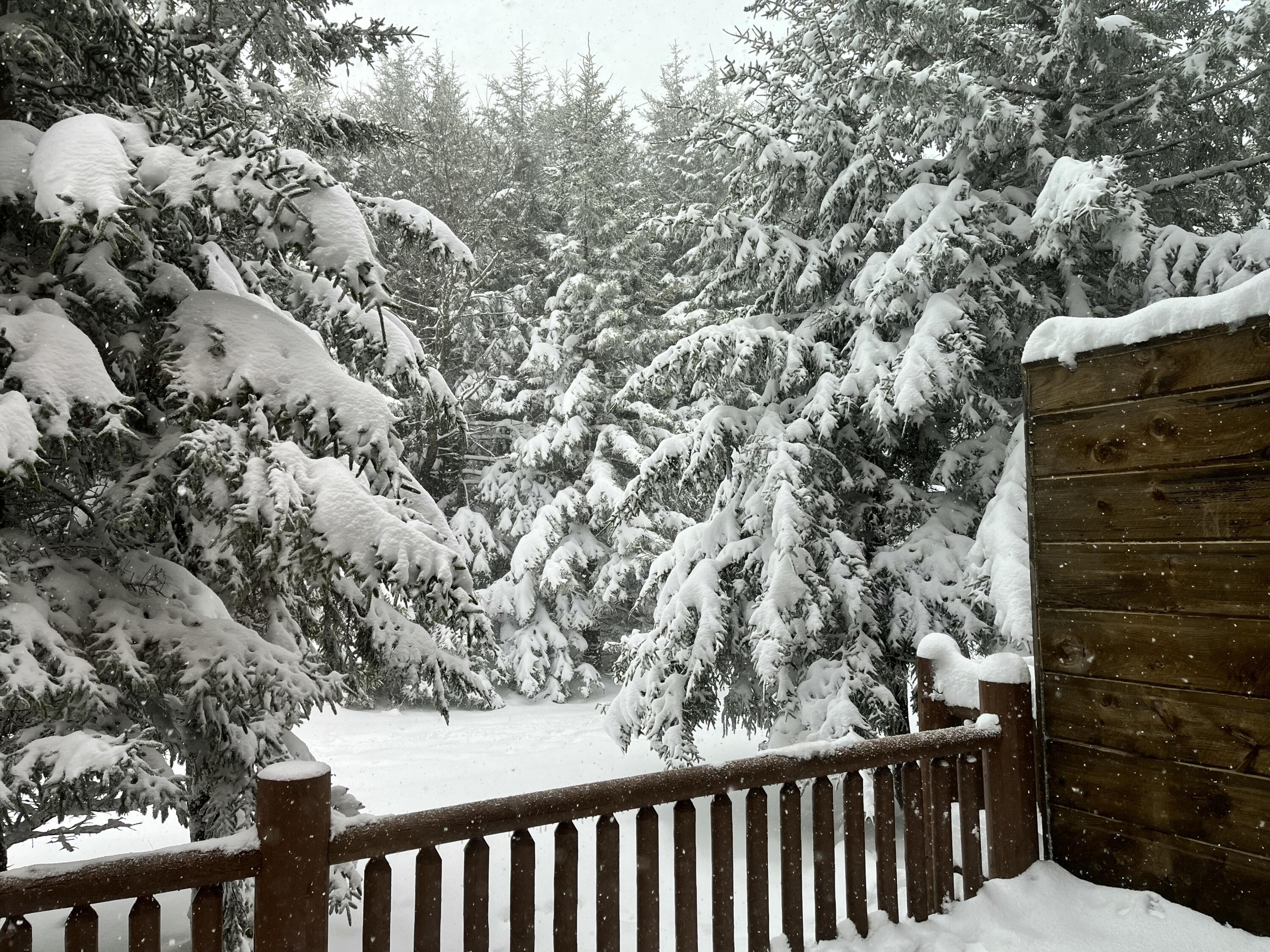 3 Loggers Run, Snowshoe, Alaska image 22