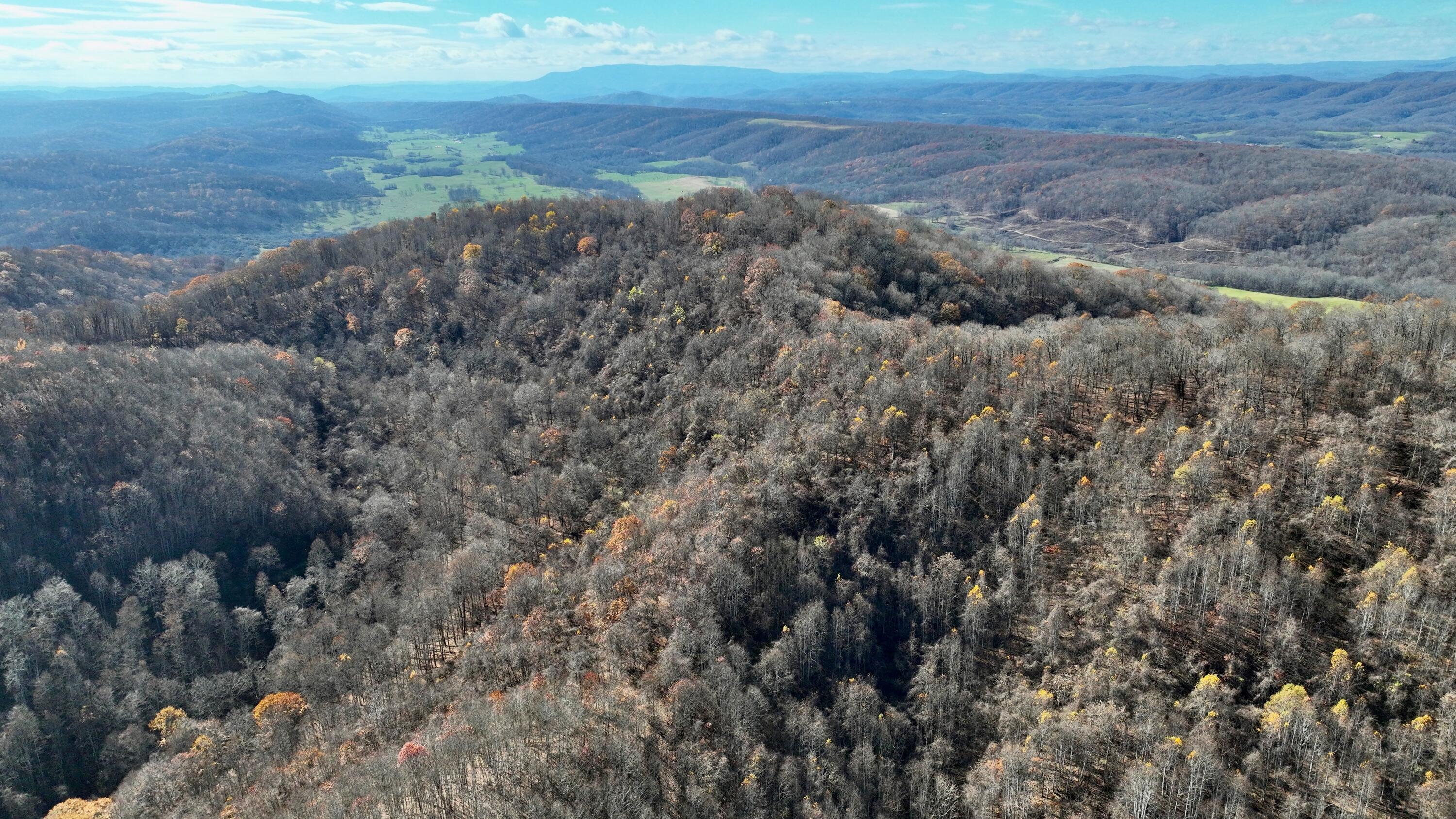 Raders Valley Road, Williamsburg, West Virginia image 6