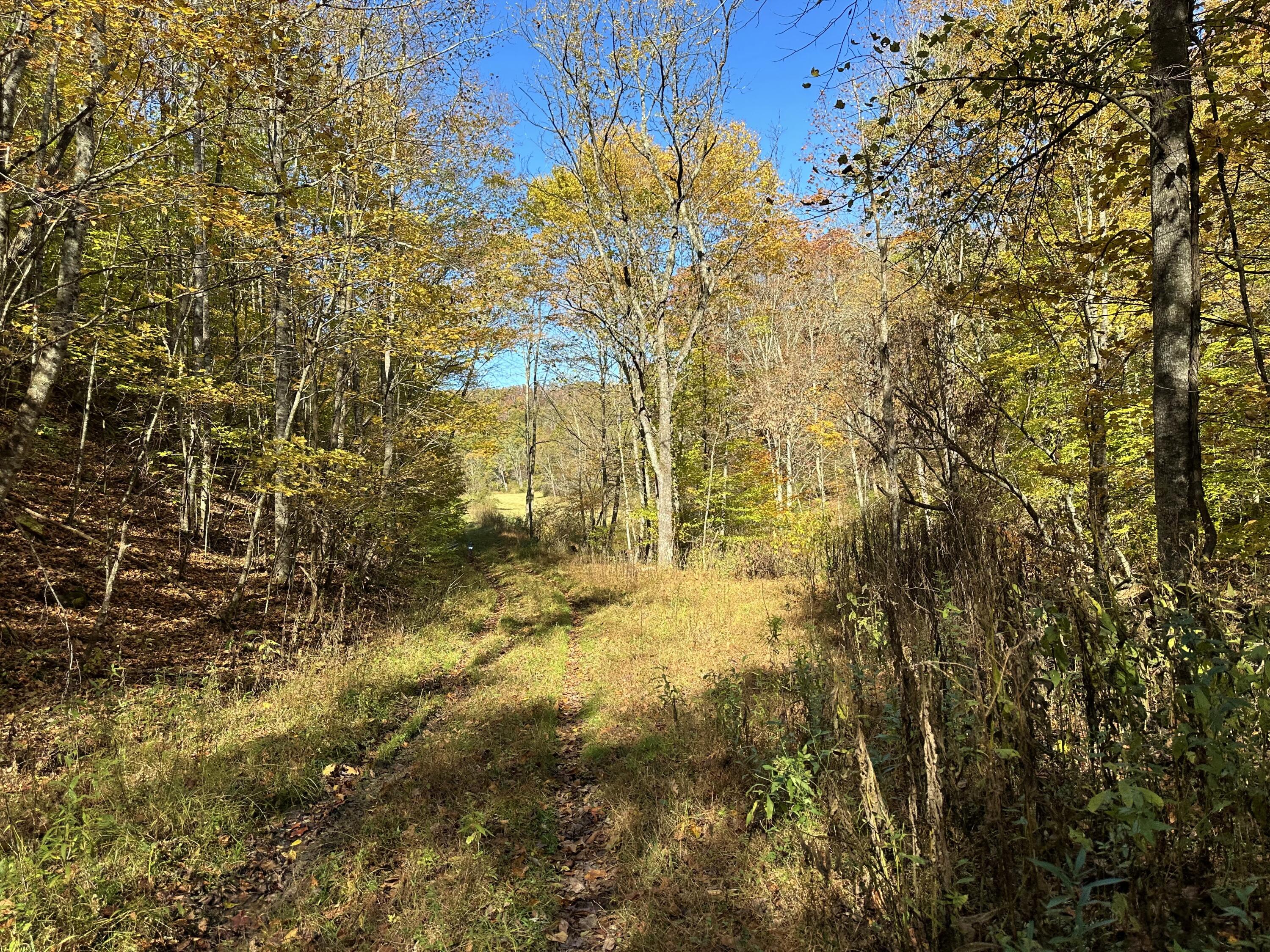 Raders Valley Road, Williamsburg, West Virginia image 49