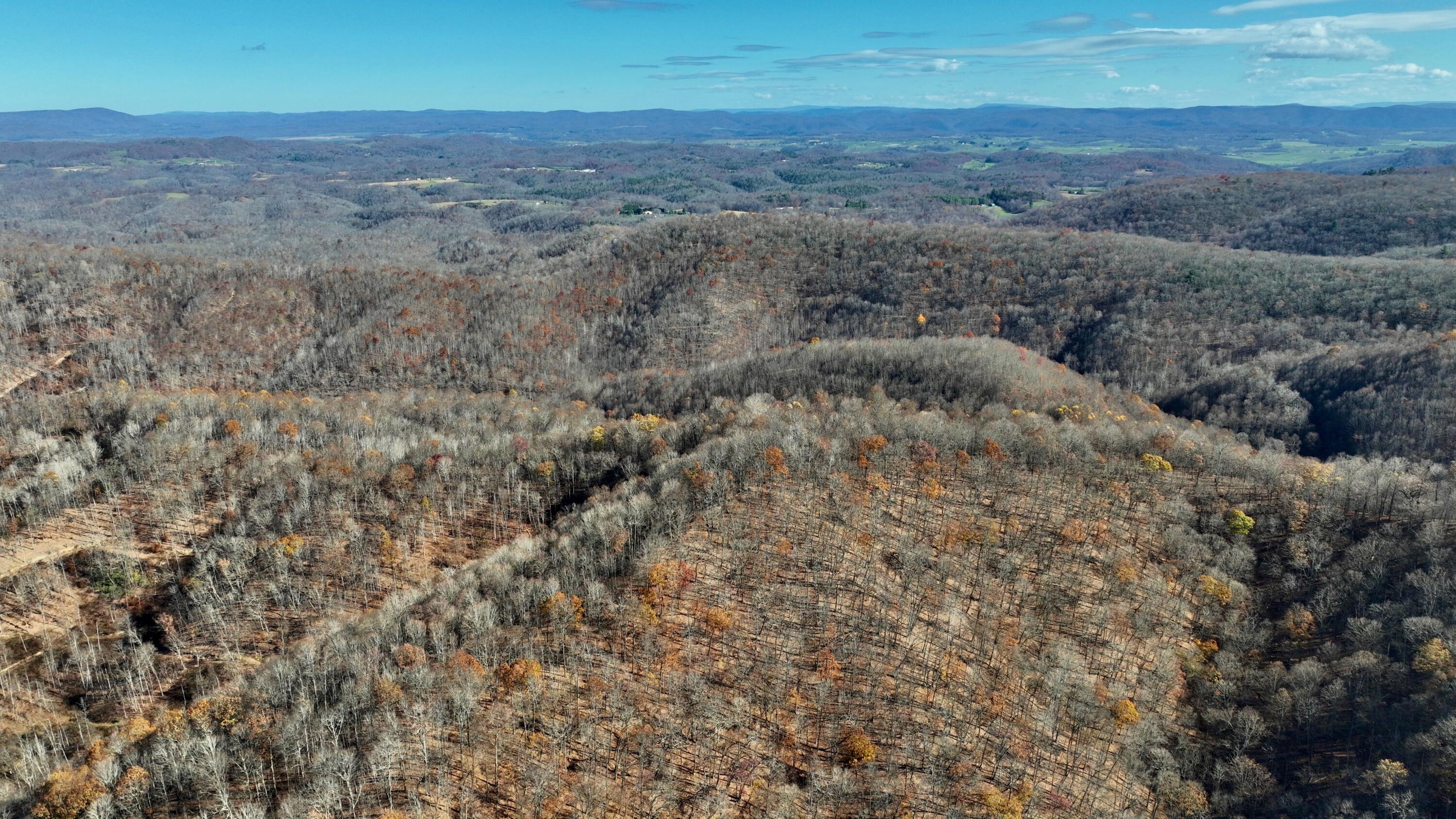 Raders Valley Road, Williamsburg, West Virginia image 12