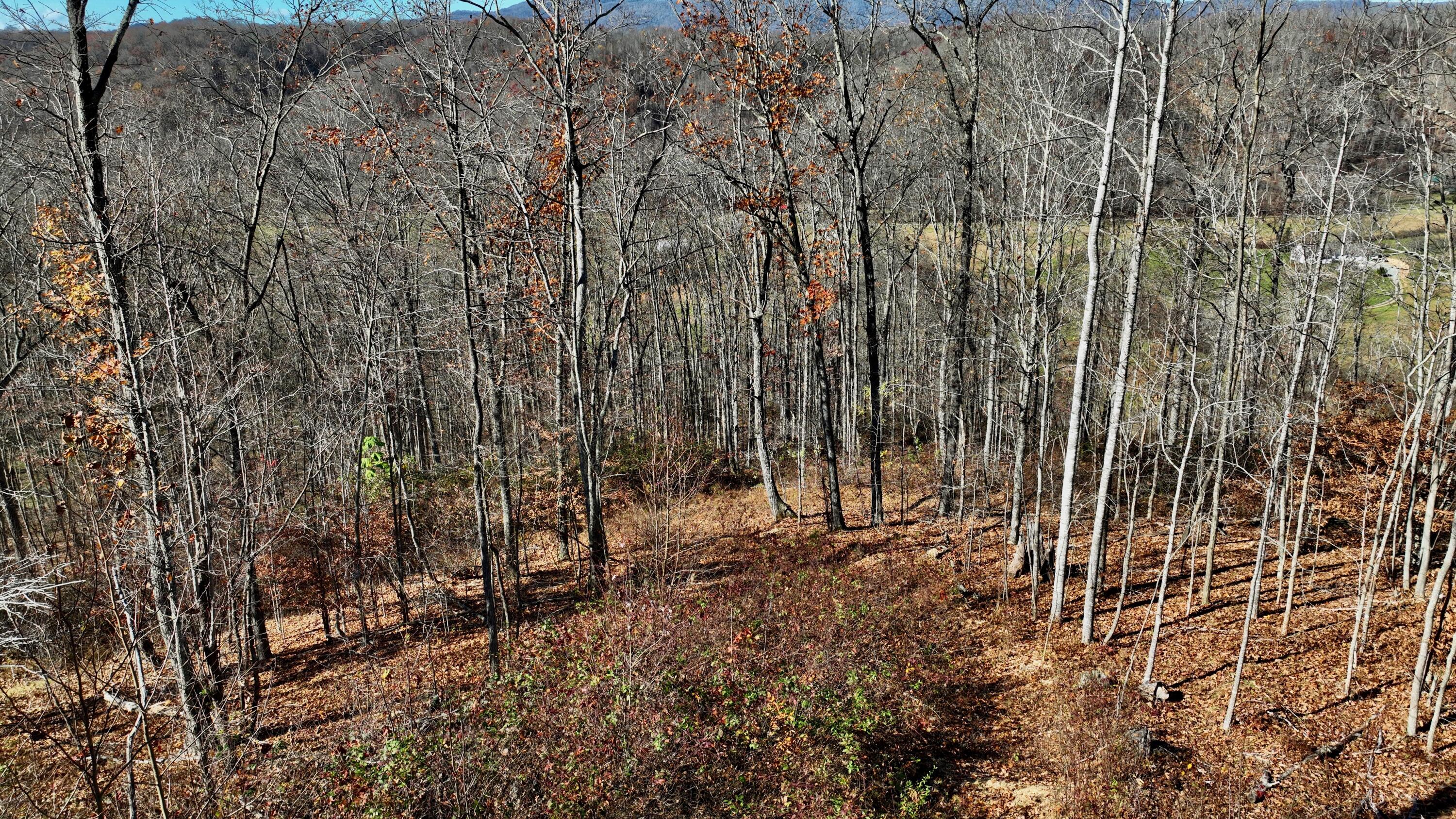 Raders Valley Road, Williamsburg, West Virginia image 3