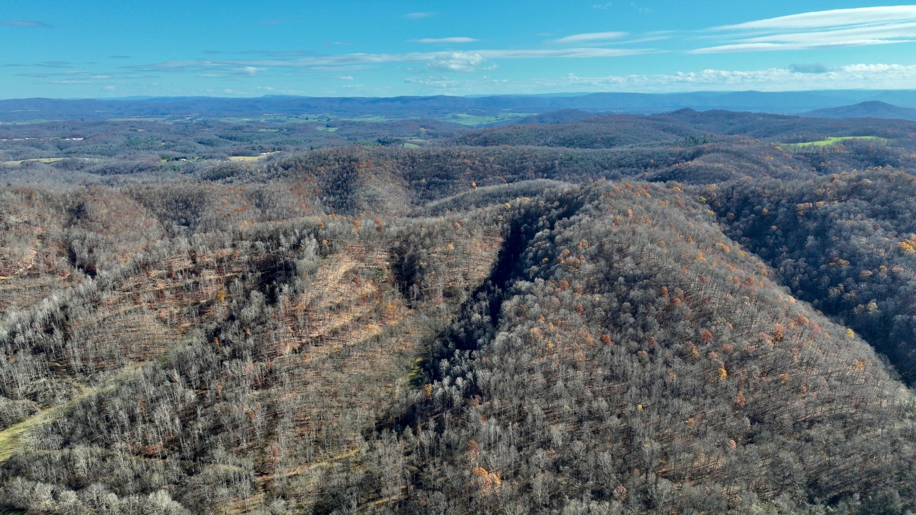 Raders Valley Road, Williamsburg, West Virginia image 15