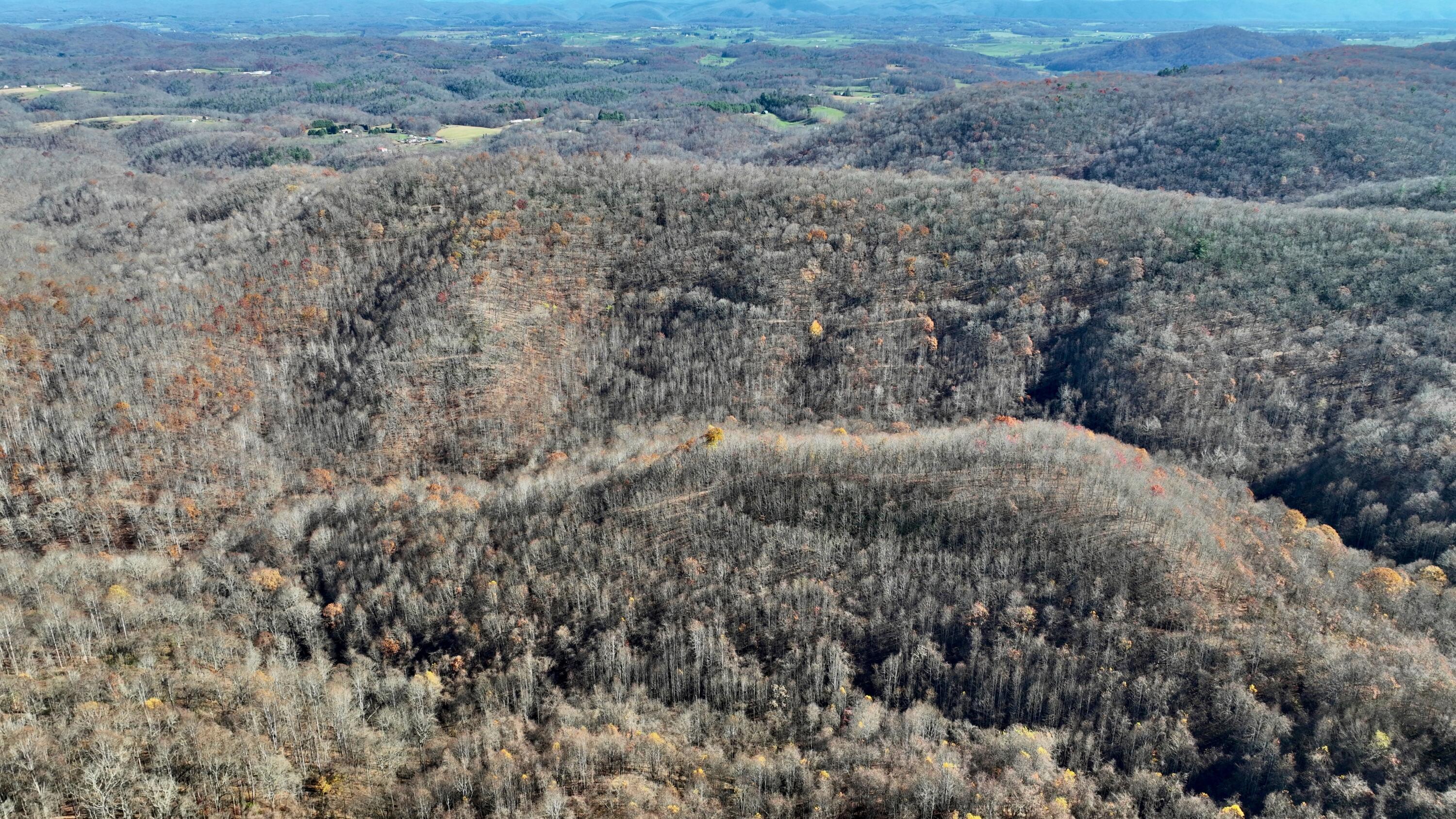 Raders Valley Road, Williamsburg, West Virginia image 9