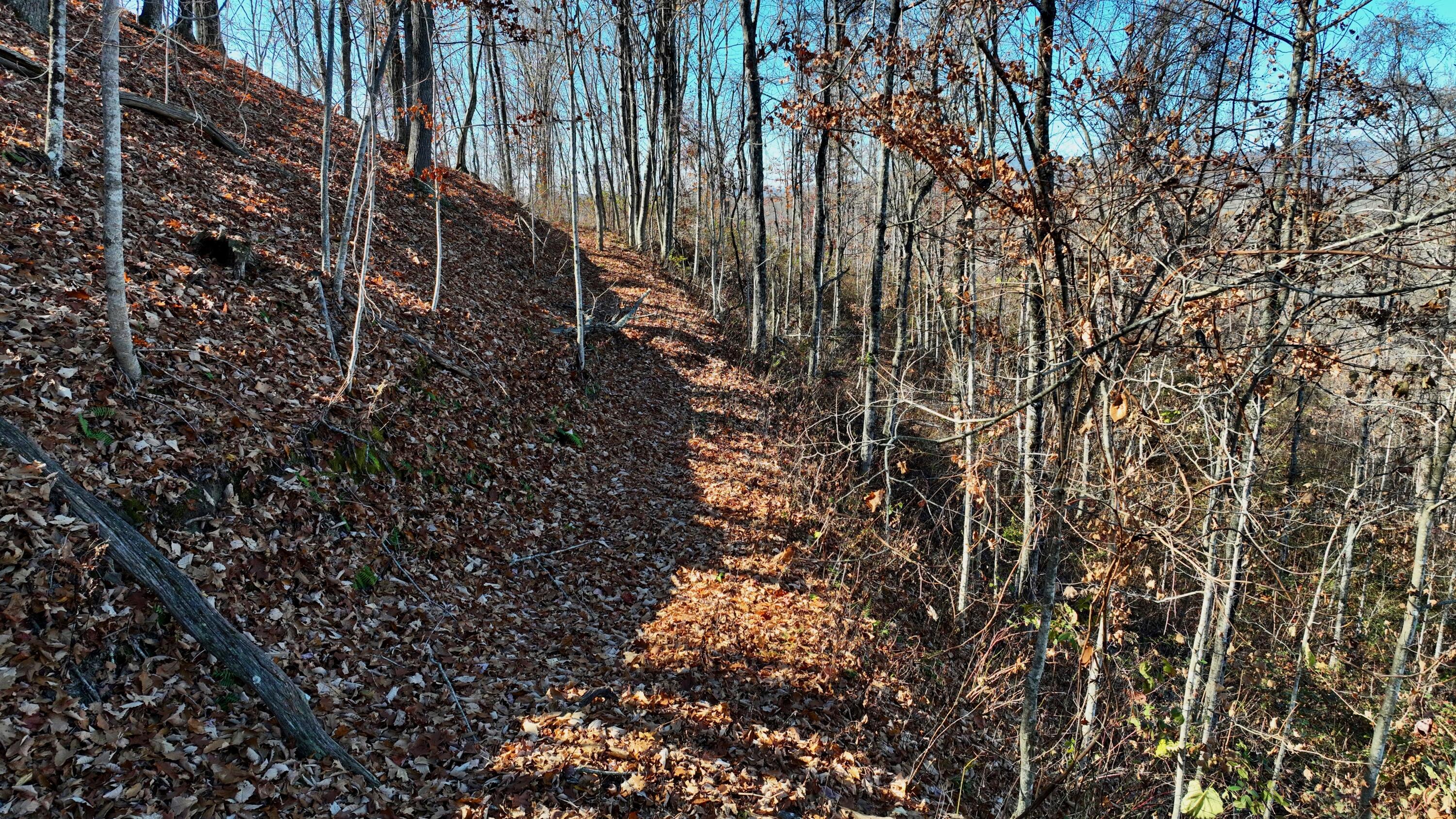 Raders Valley Road, Williamsburg, West Virginia image 26