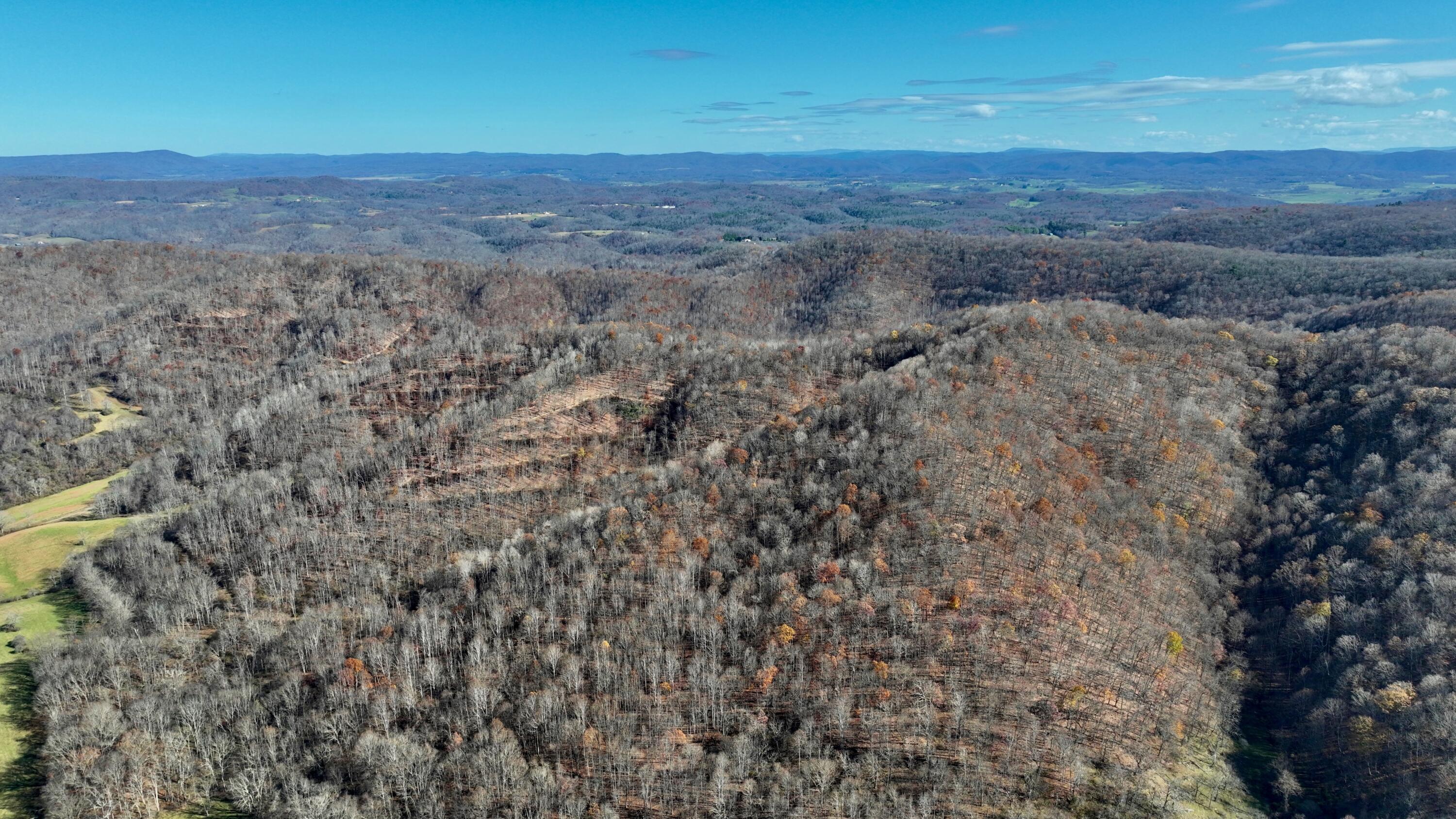 Raders Valley Road, Williamsburg, West Virginia image 14