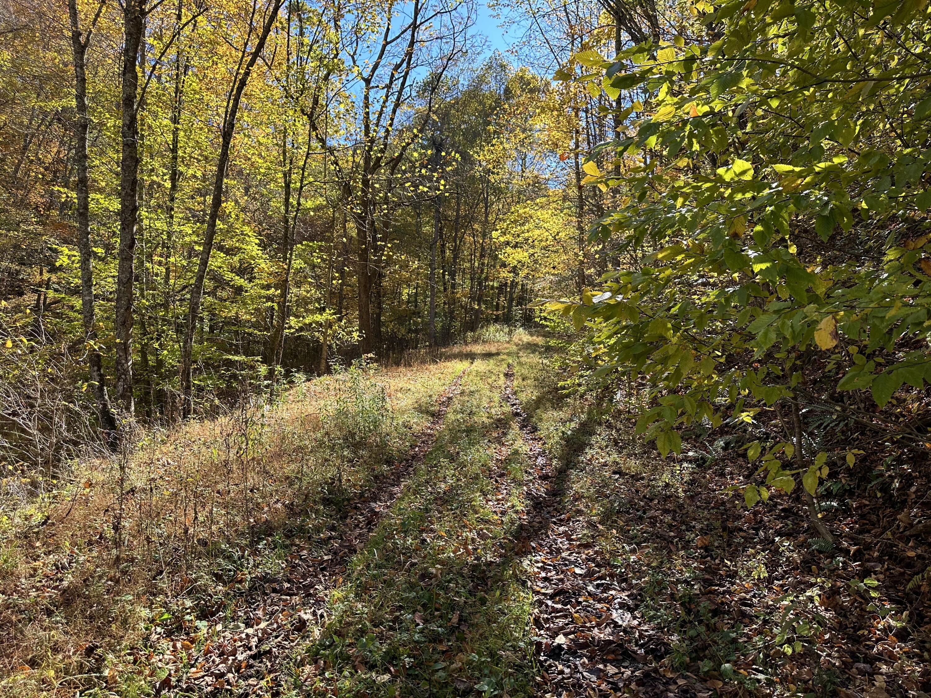 Raders Valley Road, Williamsburg, West Virginia image 29