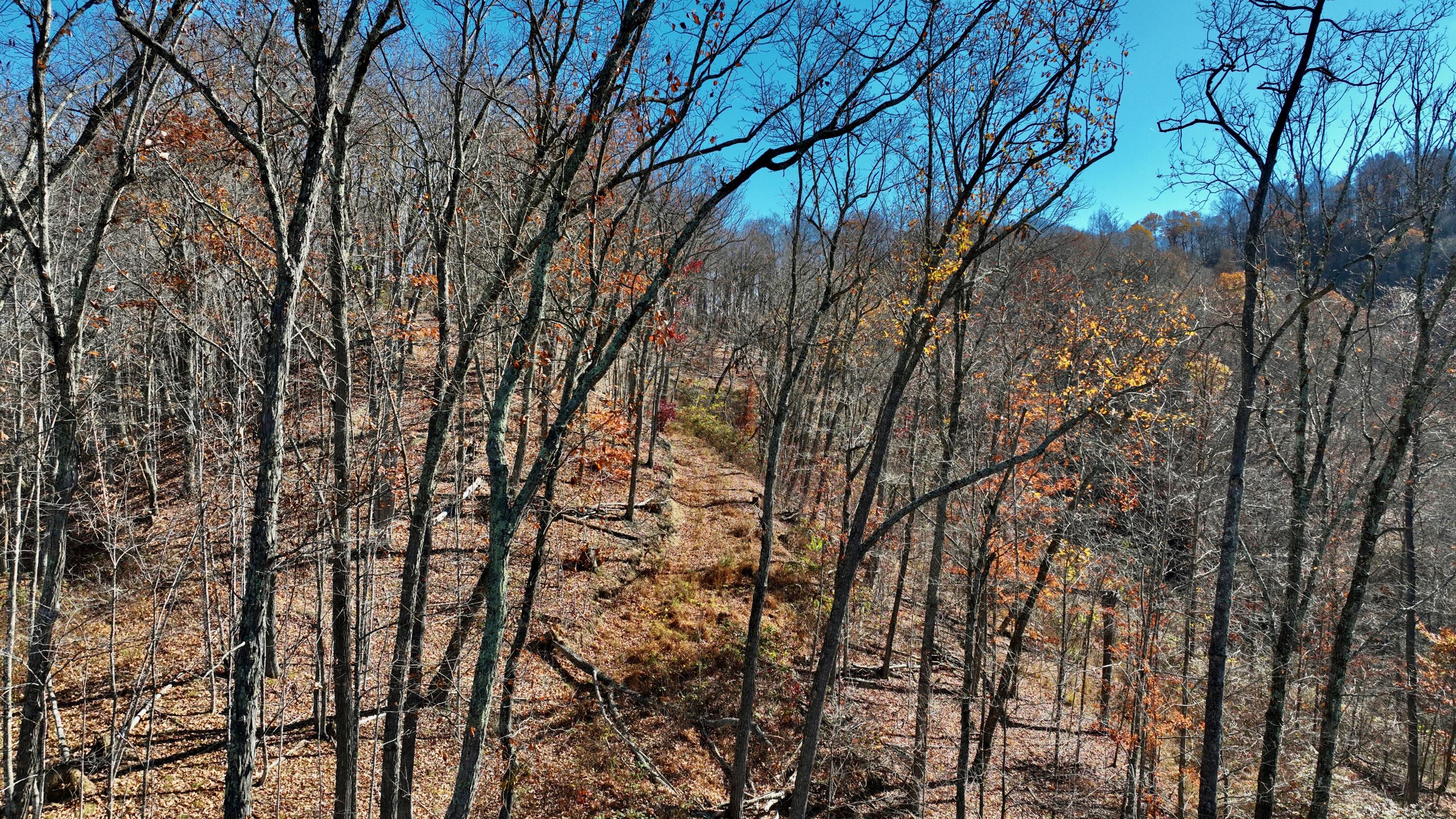 Raders Valley Road, Williamsburg, West Virginia image 28