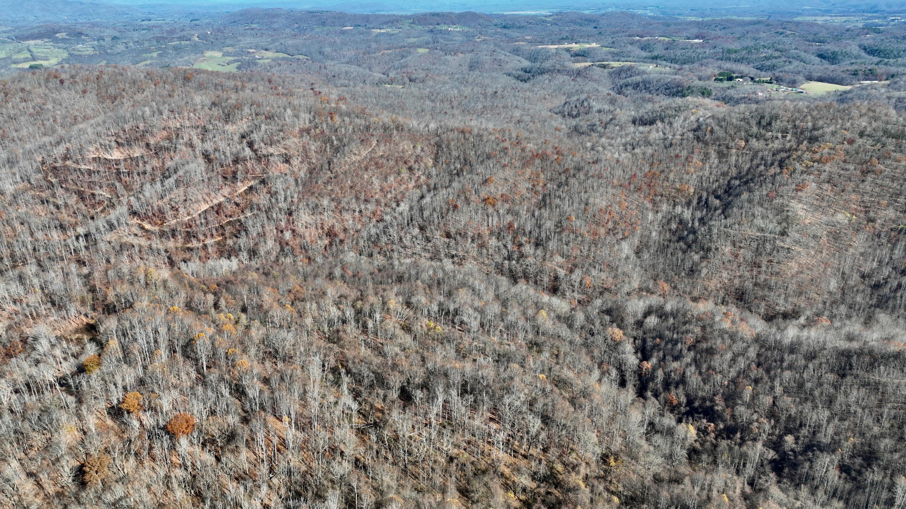 Raders Valley Road, Williamsburg, West Virginia image 8