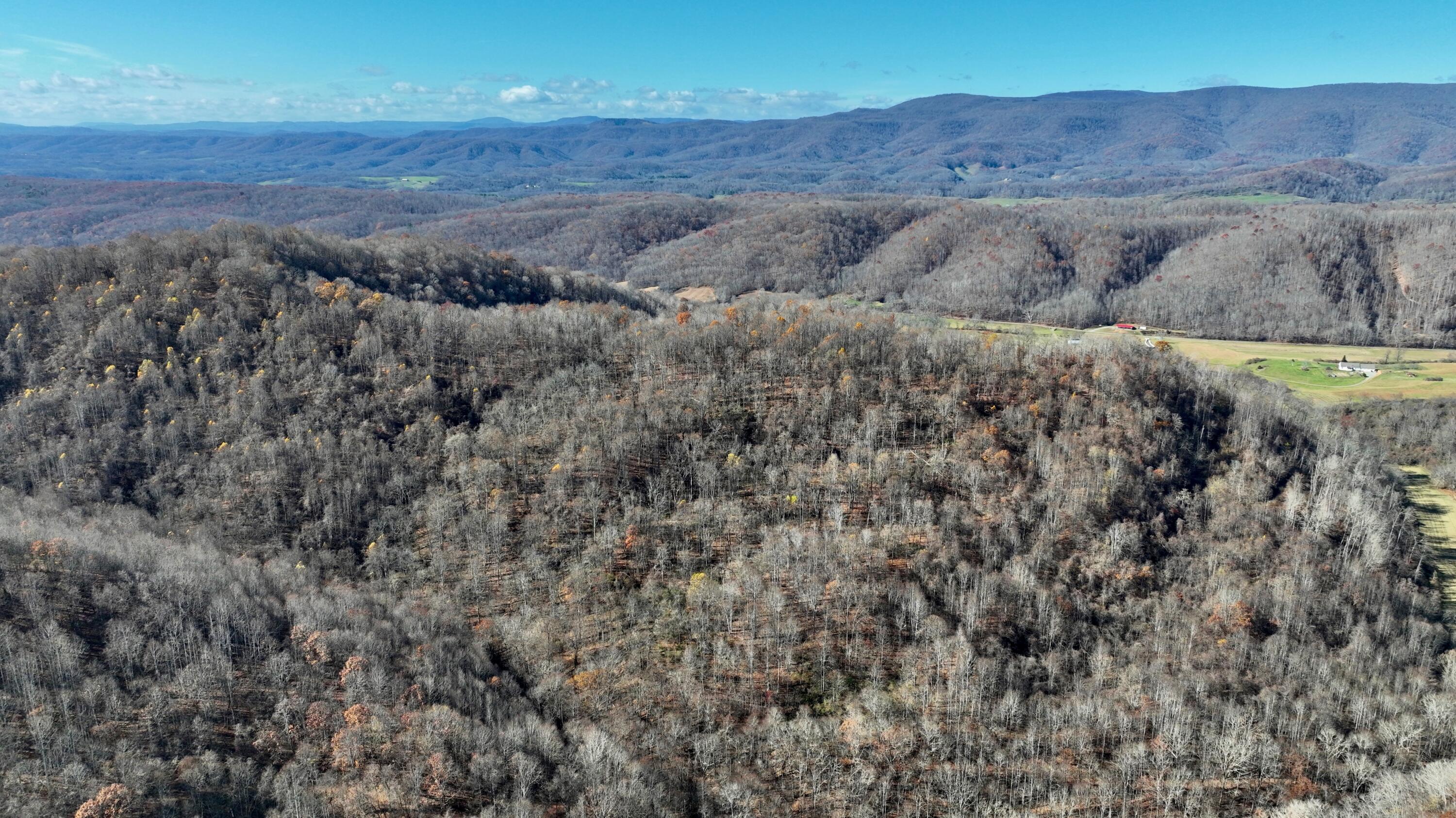 Raders Valley Road, Williamsburg, West Virginia image 4