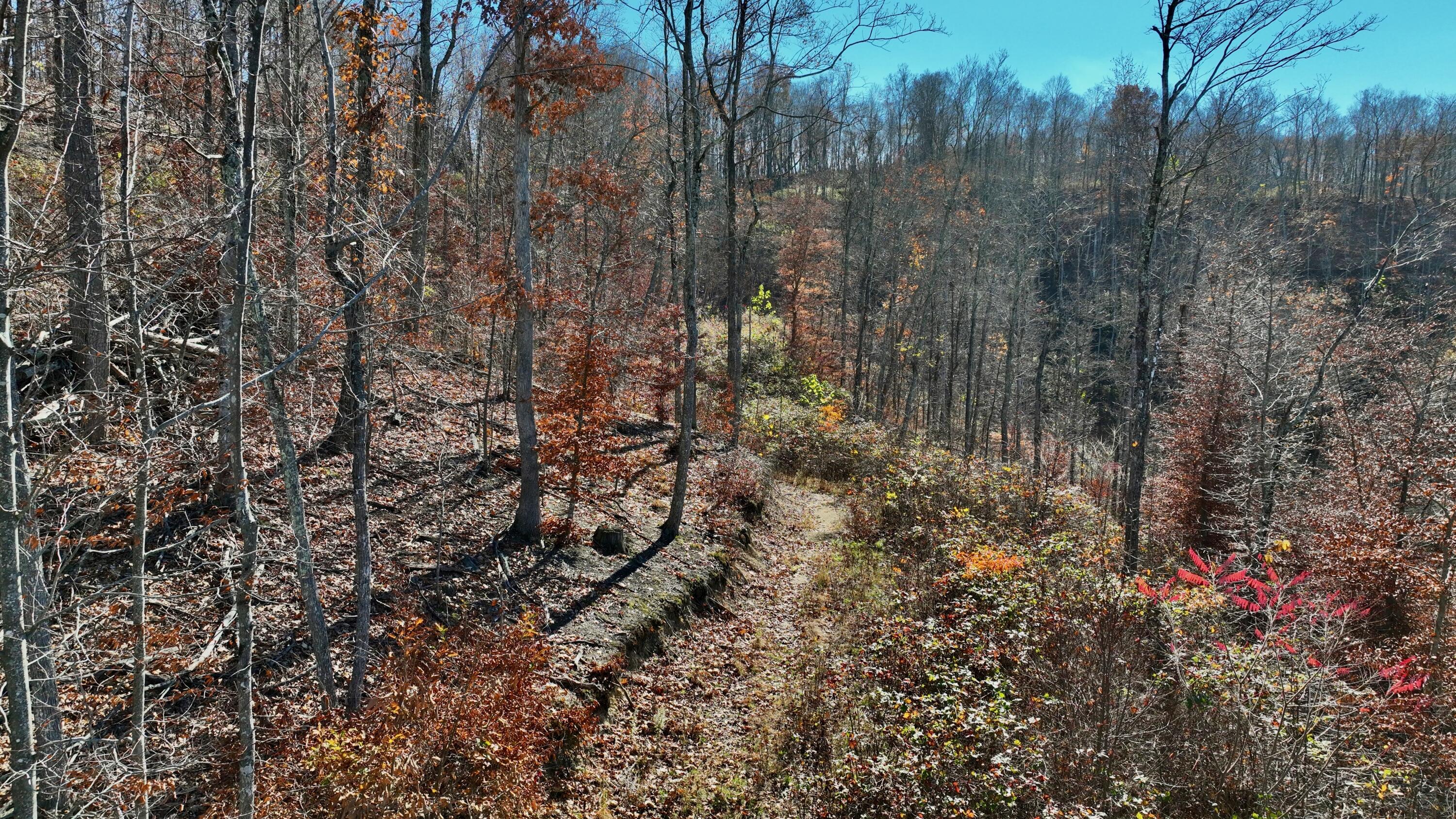 Raders Valley Road, Williamsburg, West Virginia image 2