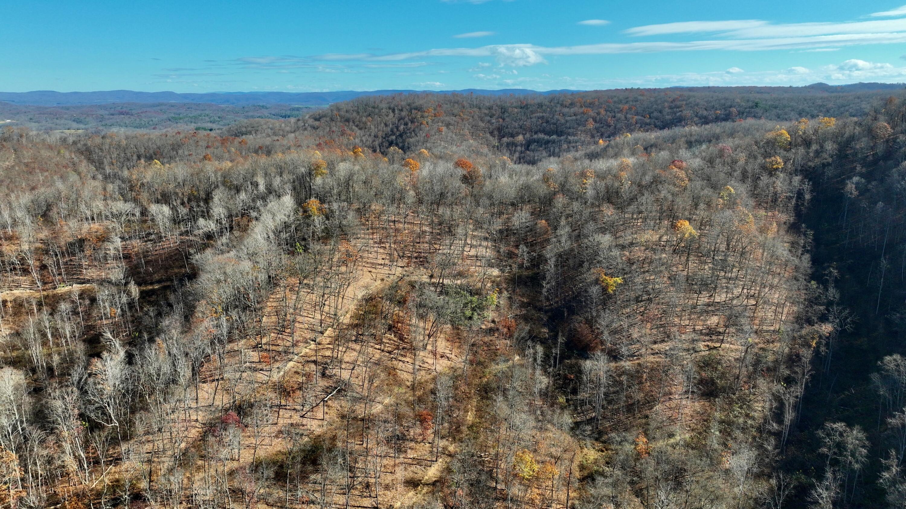 Raders Valley Road, Williamsburg, West Virginia image 21