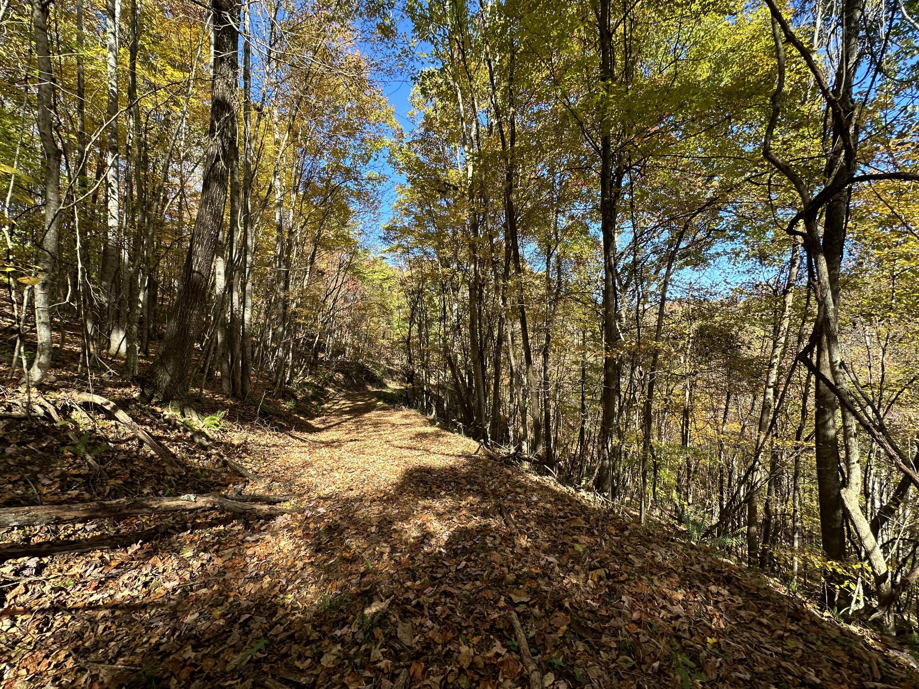 Raders Valley Road, Williamsburg, West Virginia image 45