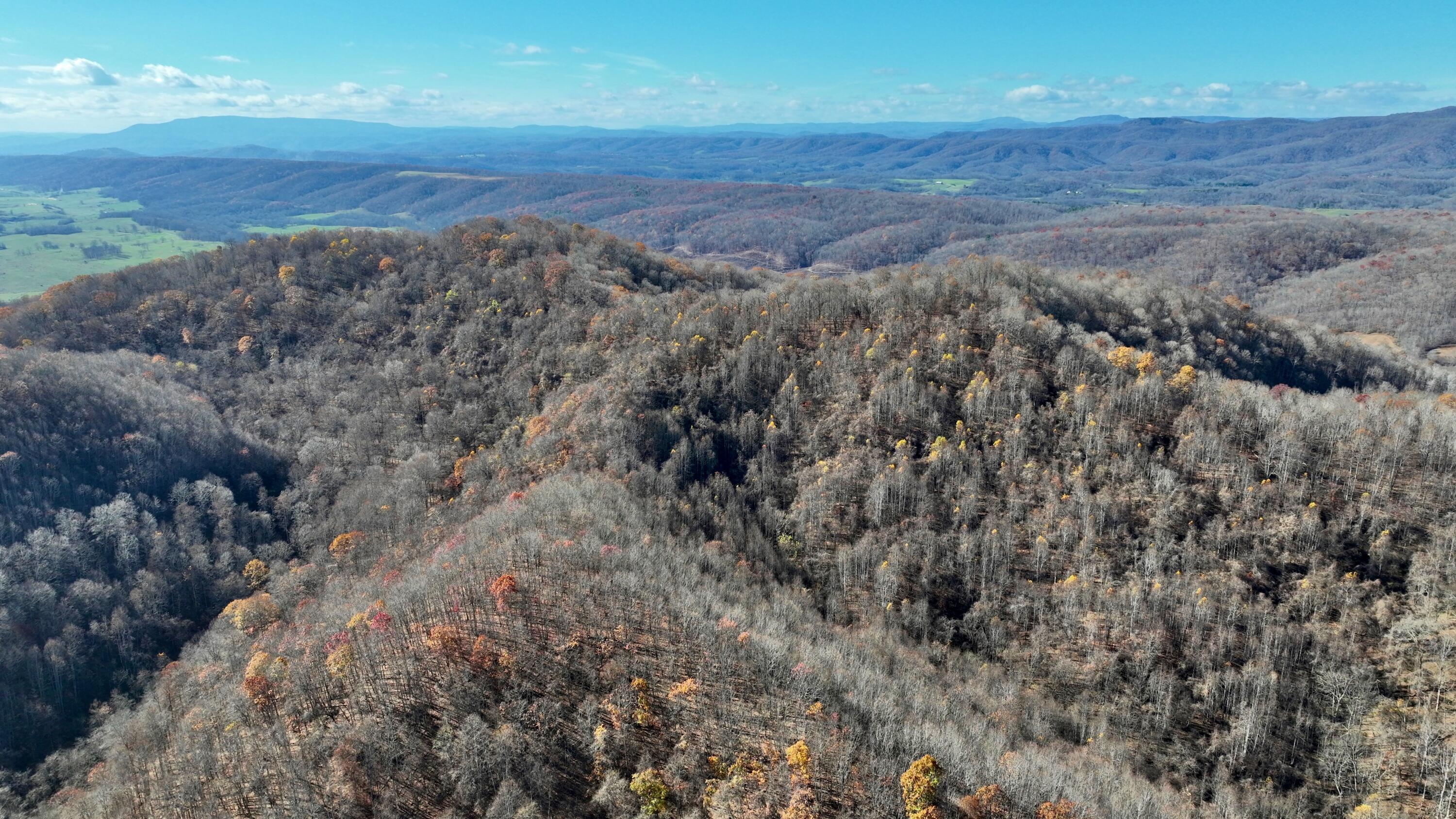 Raders Valley Road, Williamsburg, West Virginia image 5