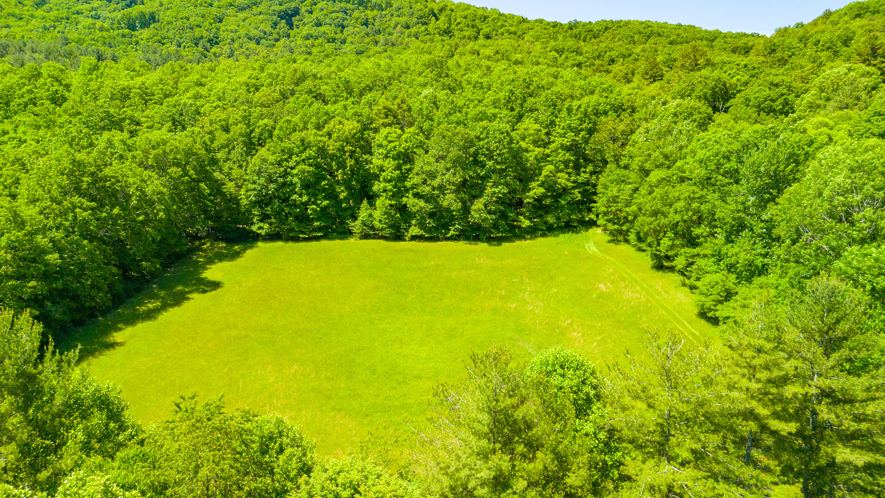 Edray Rd, Cass, West Virginia image 8