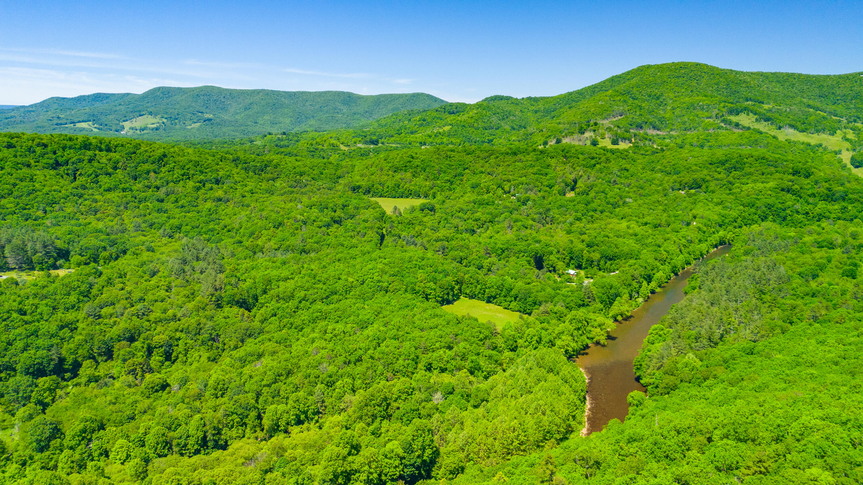 Edray Rd, Cass, West Virginia image 9