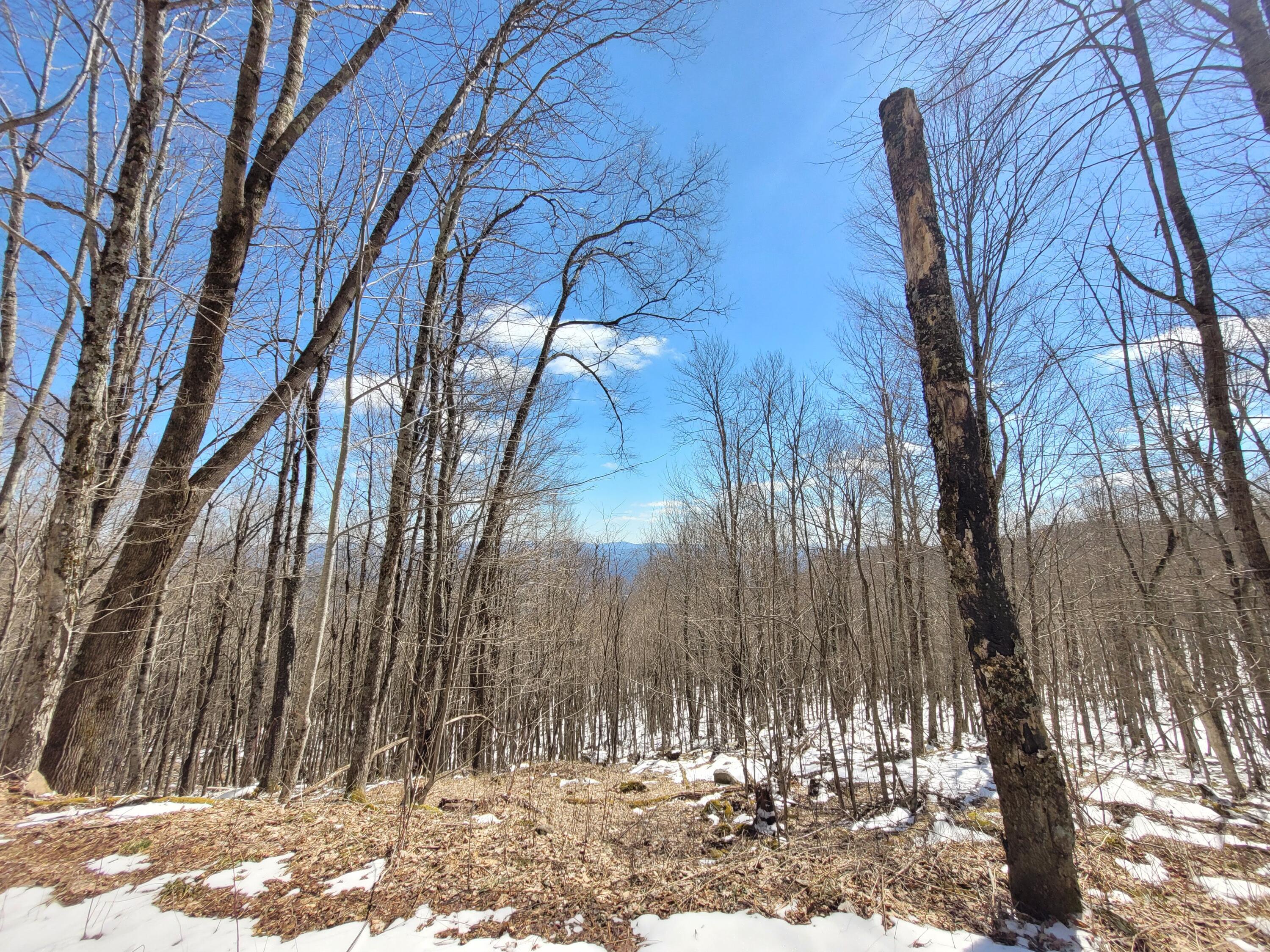 Lot 22 Eagles Nest #22, Snowshoe, West Virginia image 8