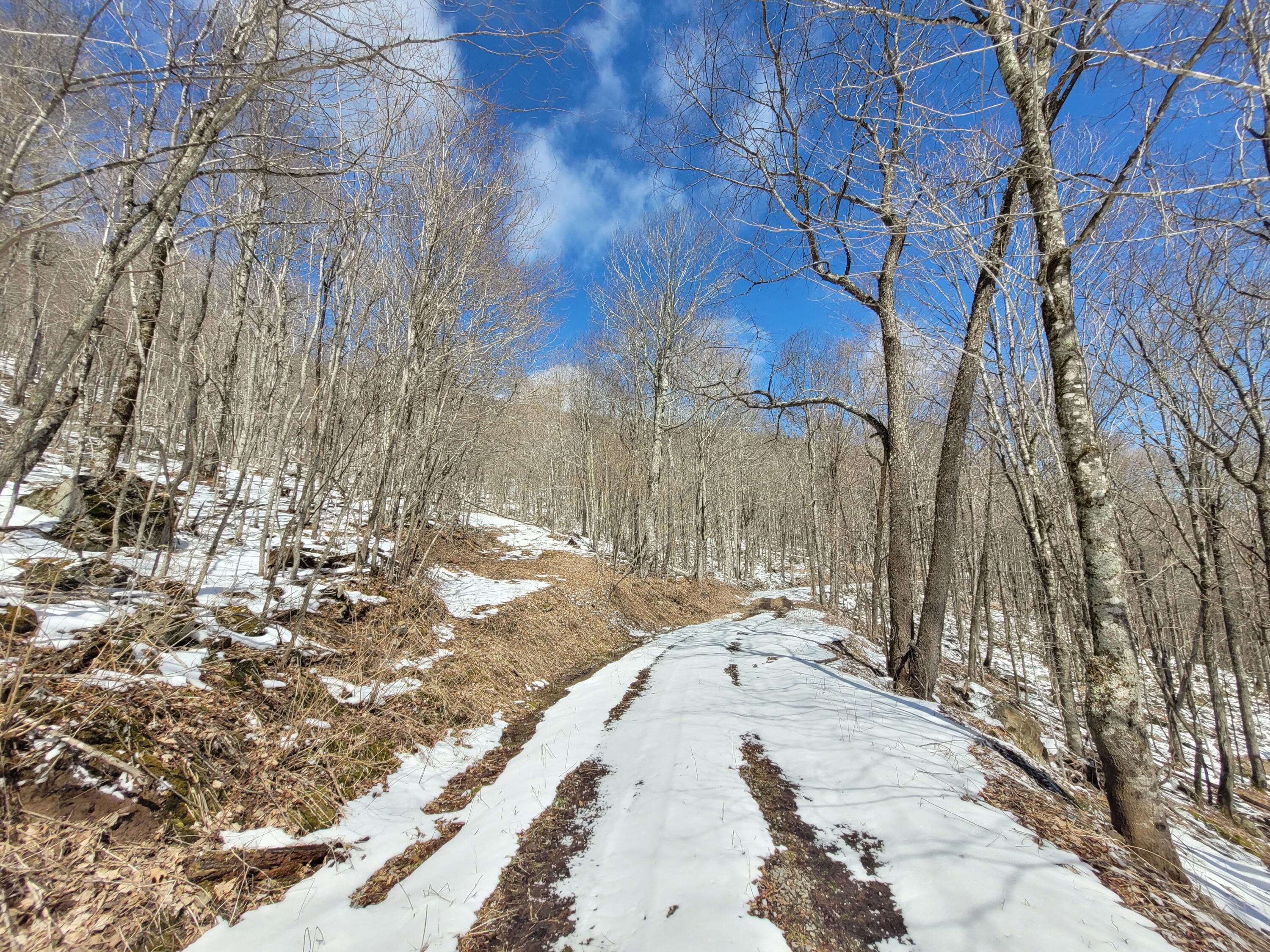 Lot 22 Eagles Nest #22, Snowshoe, West Virginia image 2