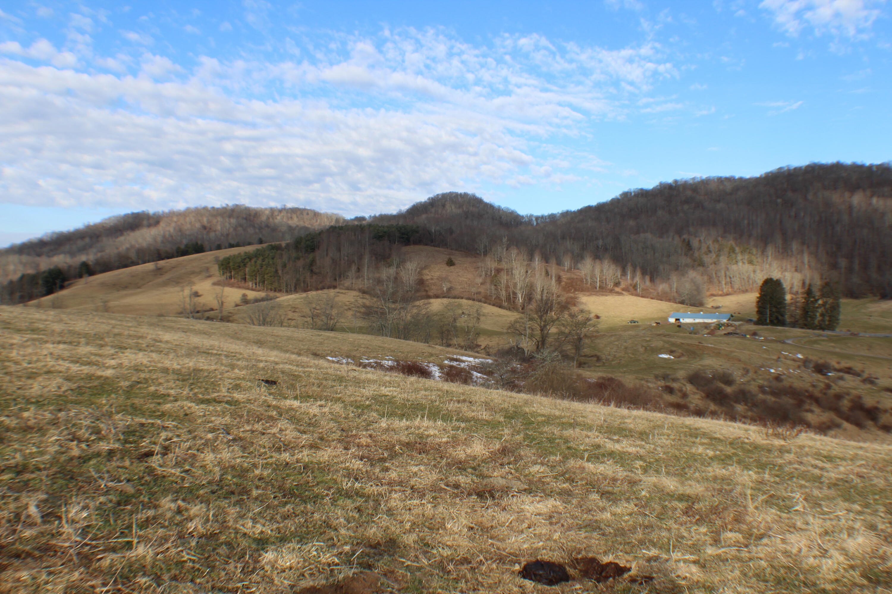 3535 Brownstown Rd, Renick, West Virginia image 1