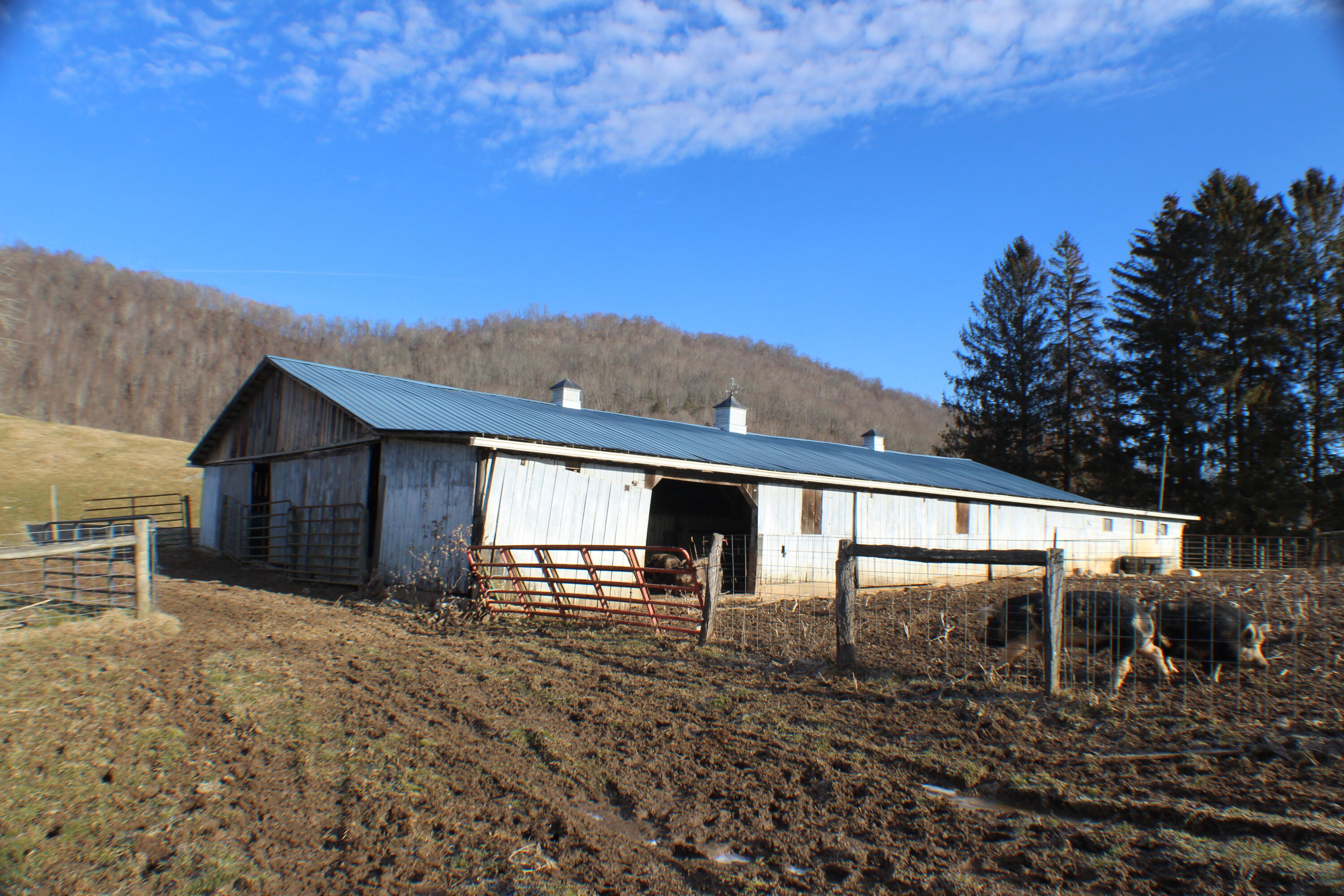 3535 Brownstown Rd, Renick, West Virginia image 13