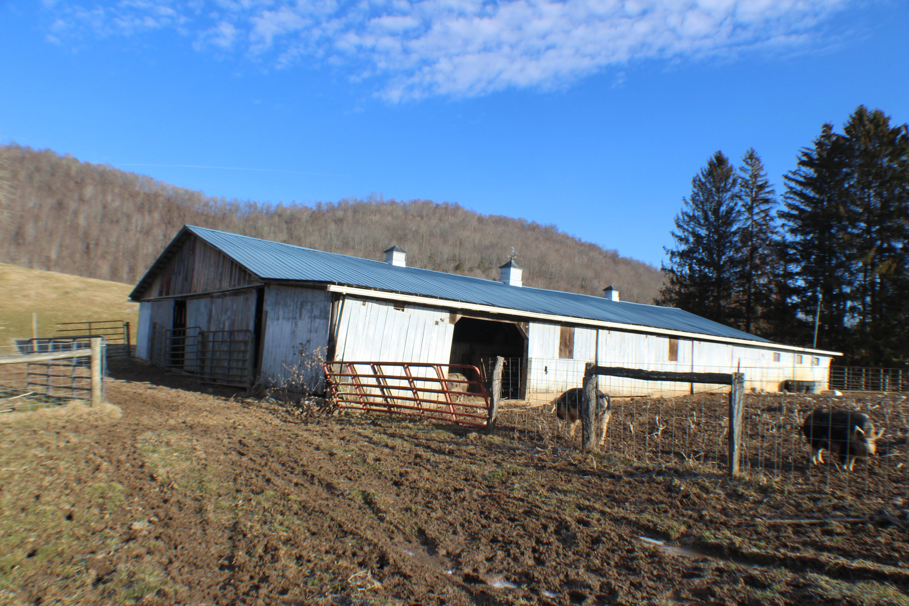 3535 Brownstown Rd, Renick, West Virginia image 37