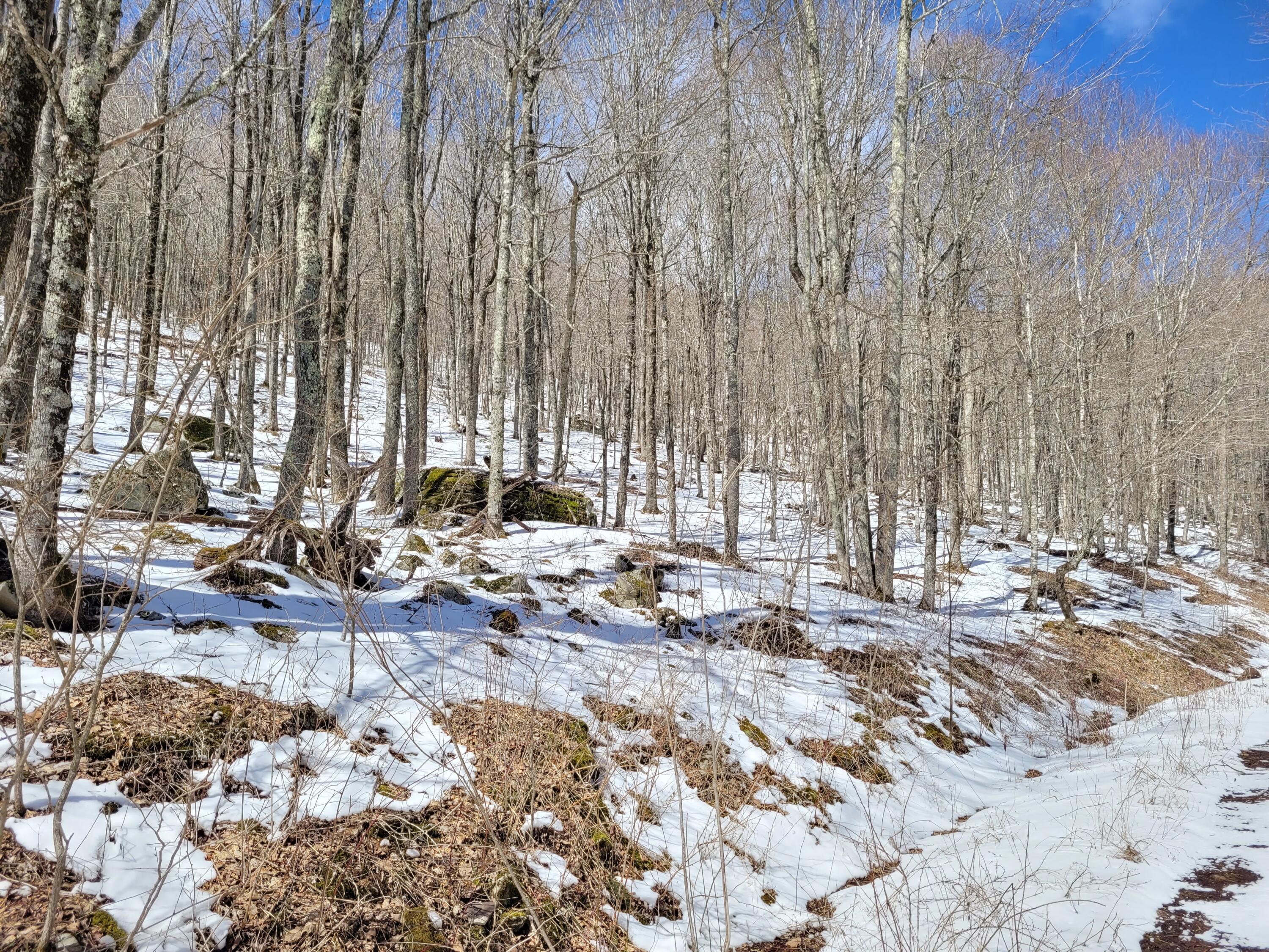 Lot 23 Eagles Nest #23, Snowshoe, West Virginia image 1