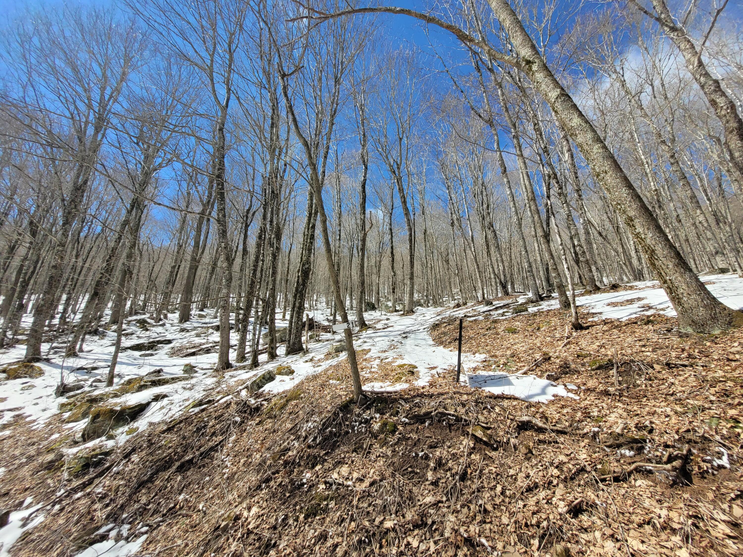 Lot 23 Eagles Nest #23, Snowshoe, West Virginia image 9