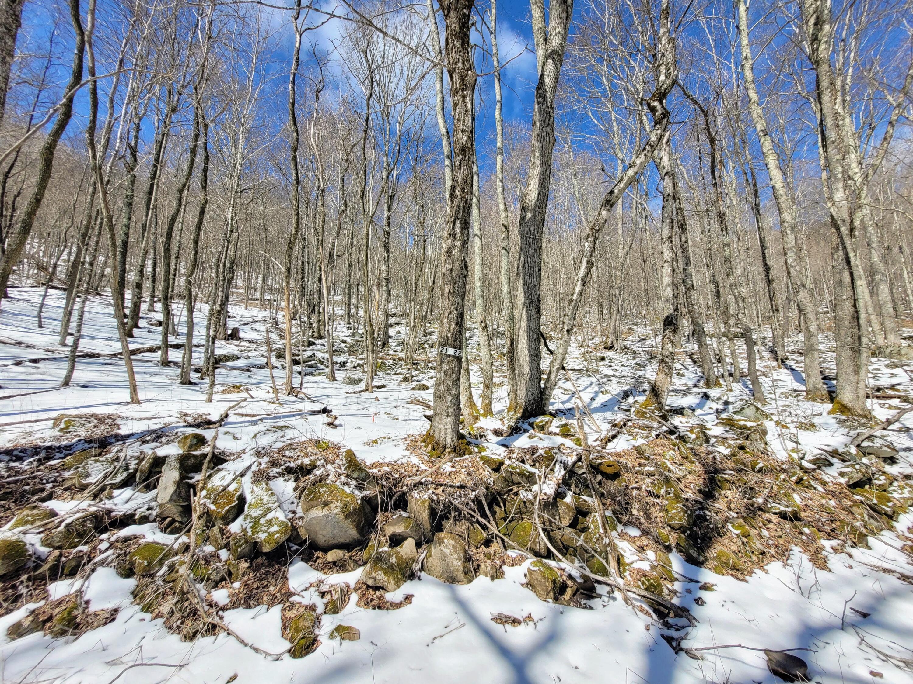 Lot 23 Eagles Nest #23, Snowshoe, West Virginia image 4