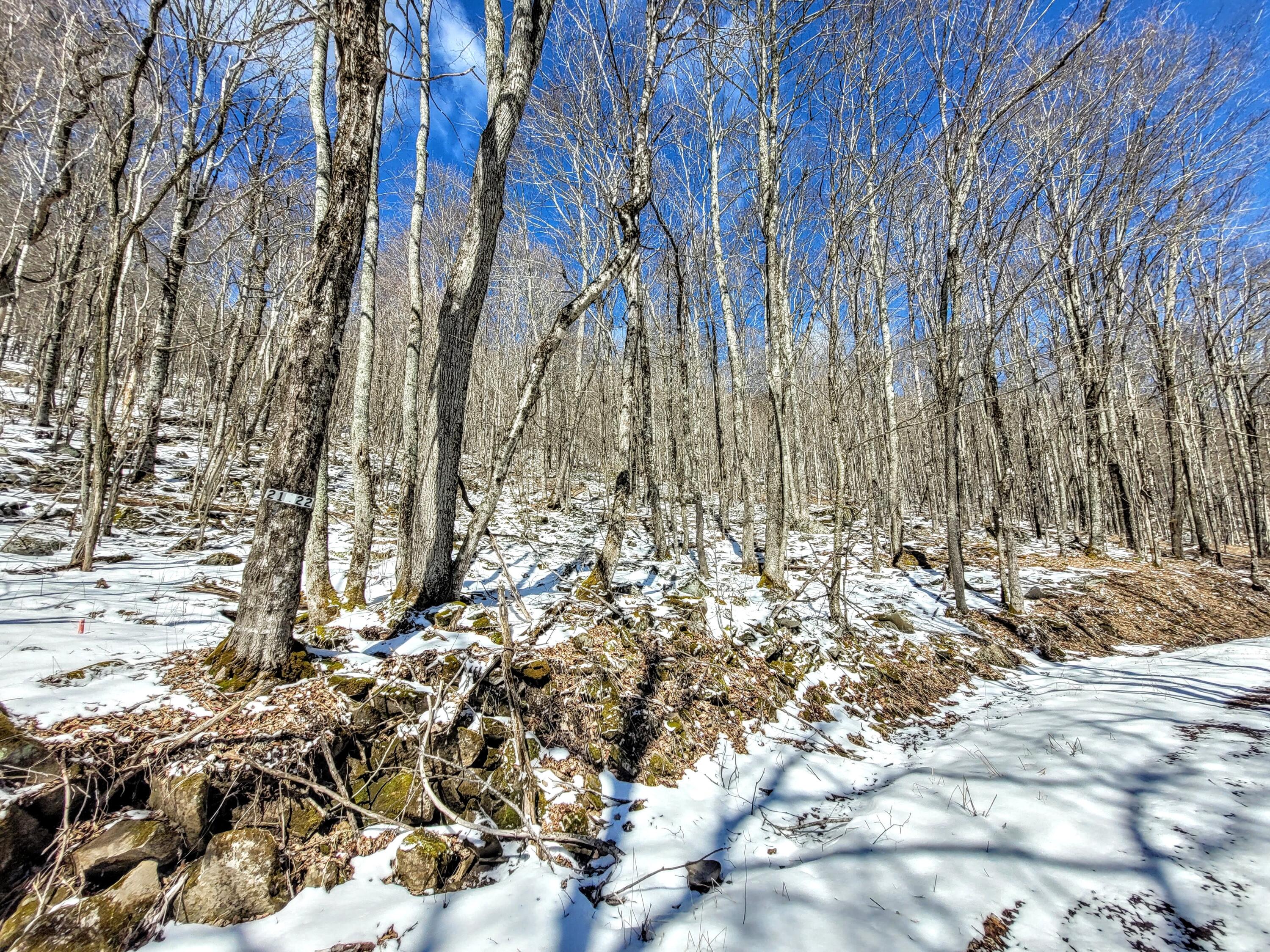 Lot 23 Eagles Nest #23, Snowshoe, West Virginia image 5