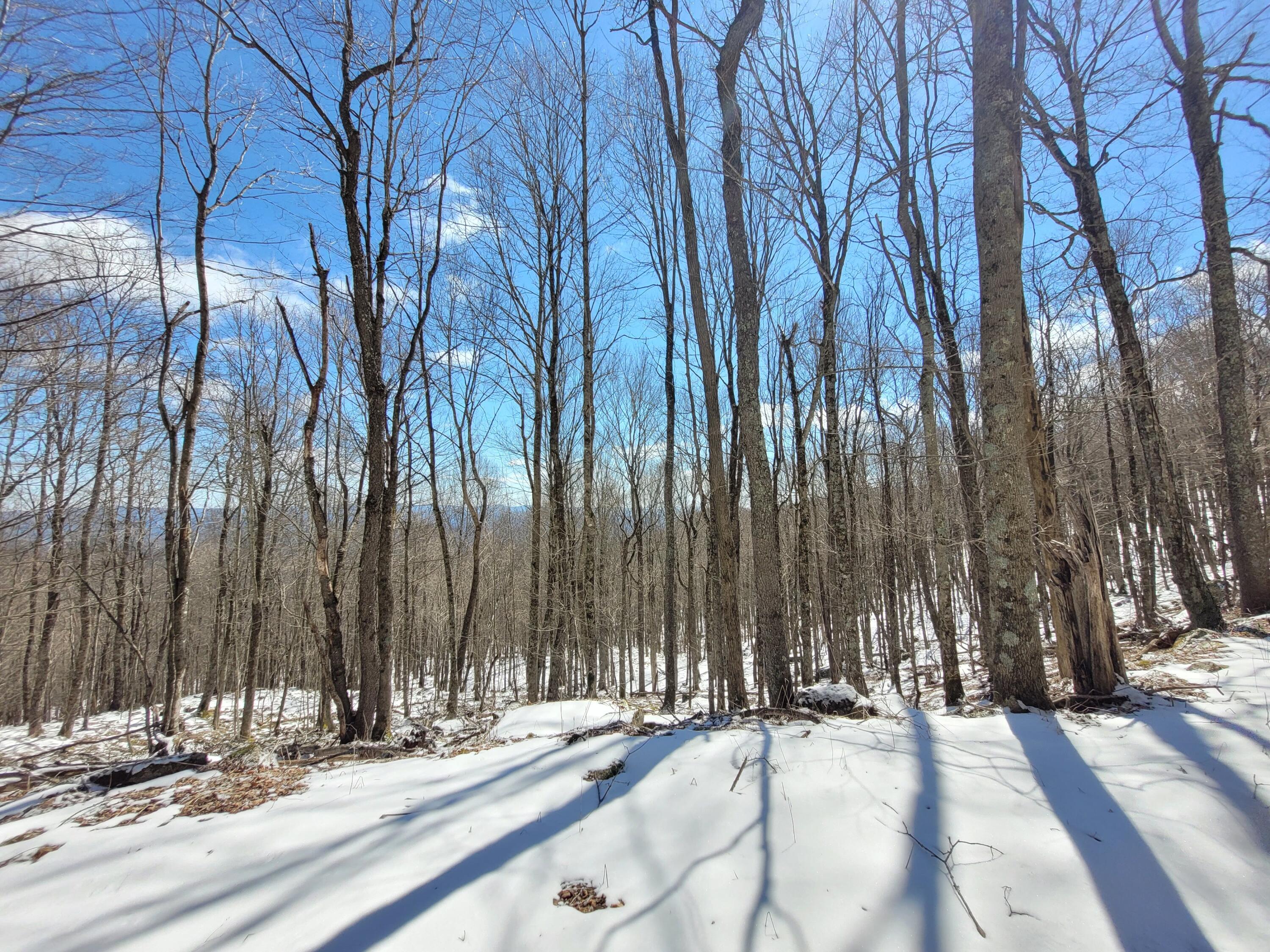 Lot 23 Eagles Nest #23, Snowshoe, West Virginia image 6