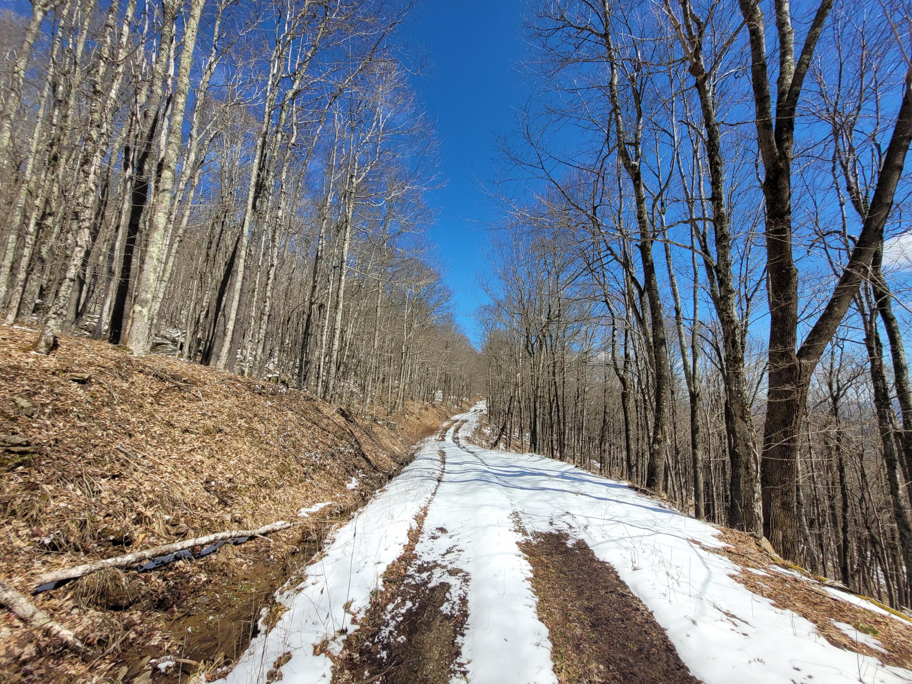 Lot 23 Eagles Nest #23, Snowshoe, West Virginia image 7