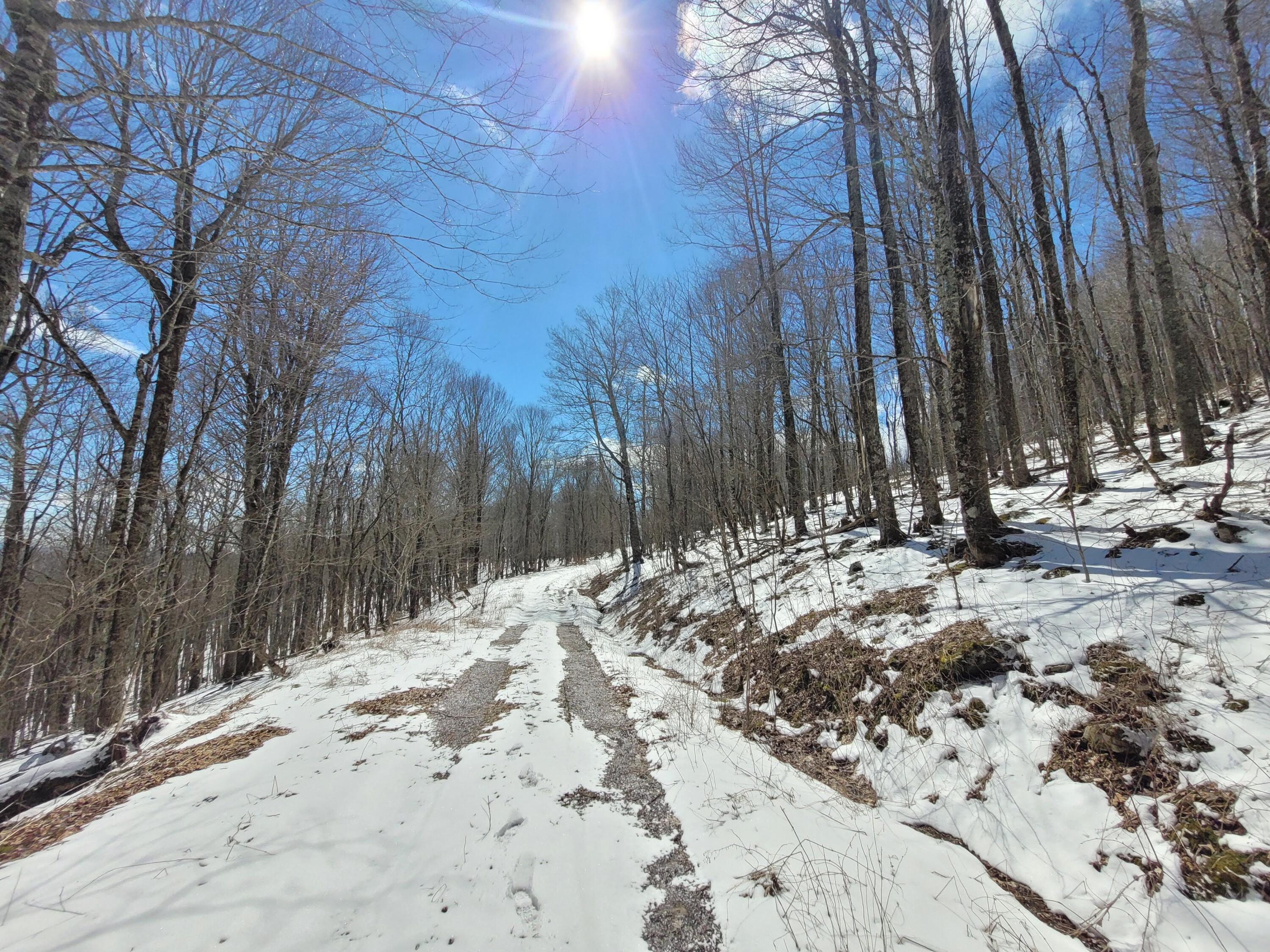 Lot 23 Eagles Nest #23, Snowshoe, West Virginia image 2