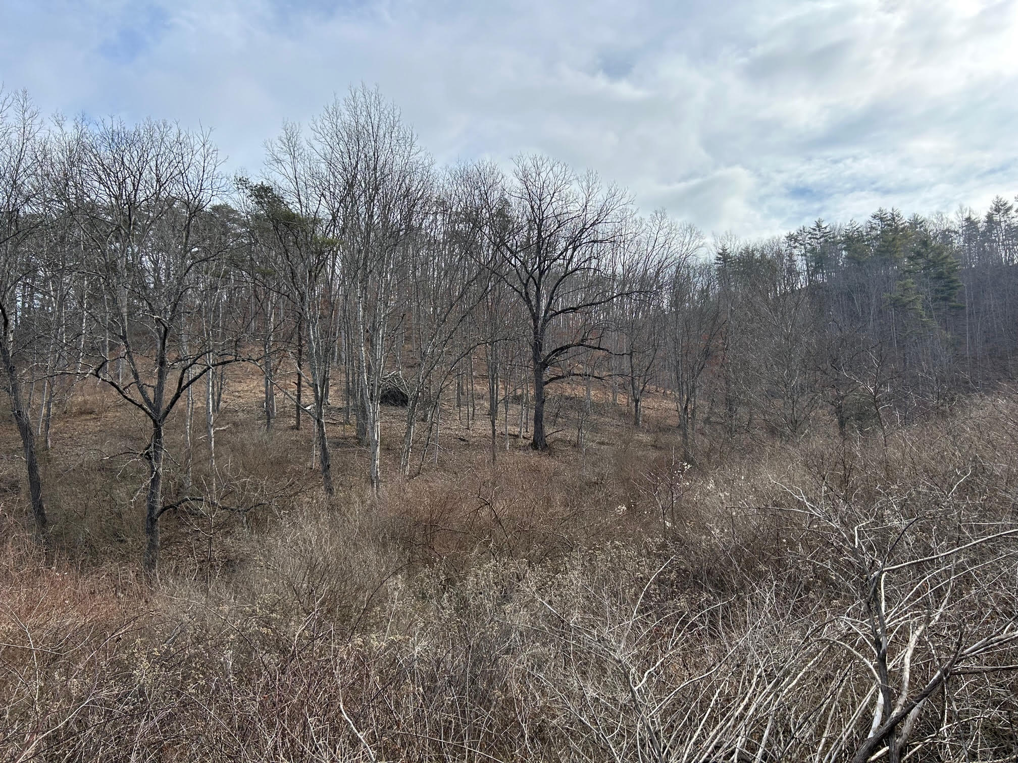 Crk Tract Little Wolf Creek, Hinton, Texas image 14