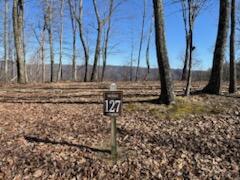 Lot 127 Withrow Lndg, The Reteat #127, Caldwell, West Virginia image 1