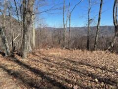 Lot 127 Withrow Lndg, The Reteat #127, Caldwell, West Virginia image 11