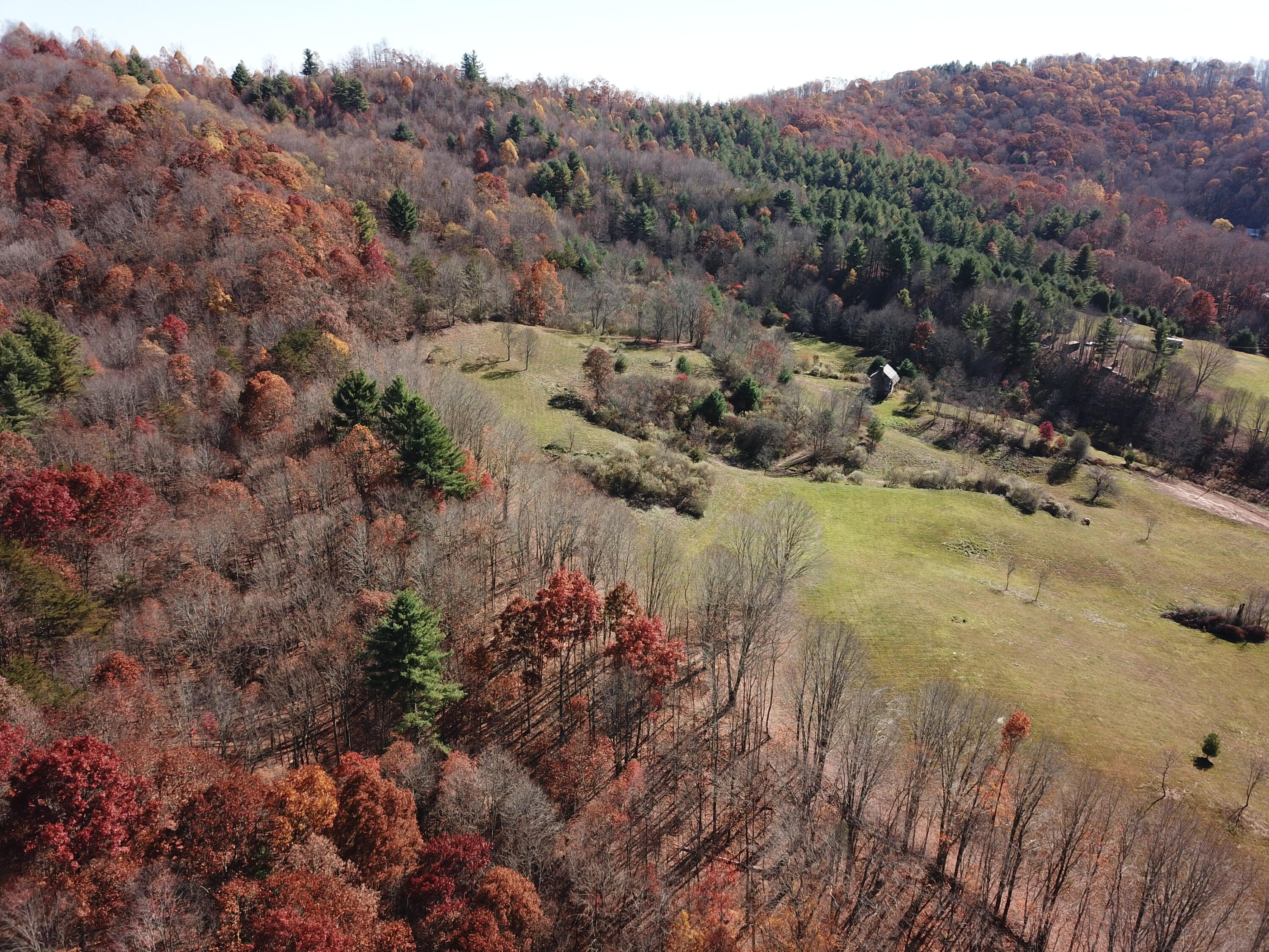 Cold Hollow Rd, Rainelle, West Virginia image 26